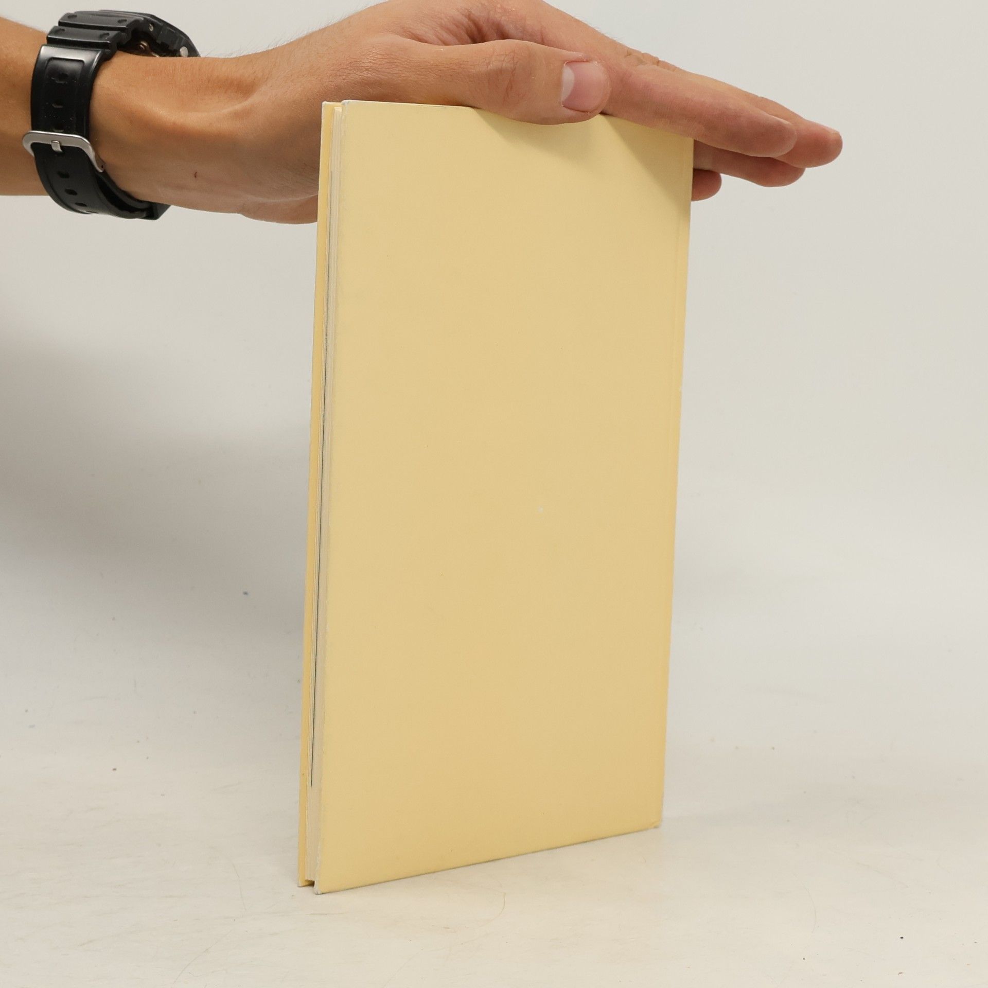 Jotie T'Hooft Junkies Traum