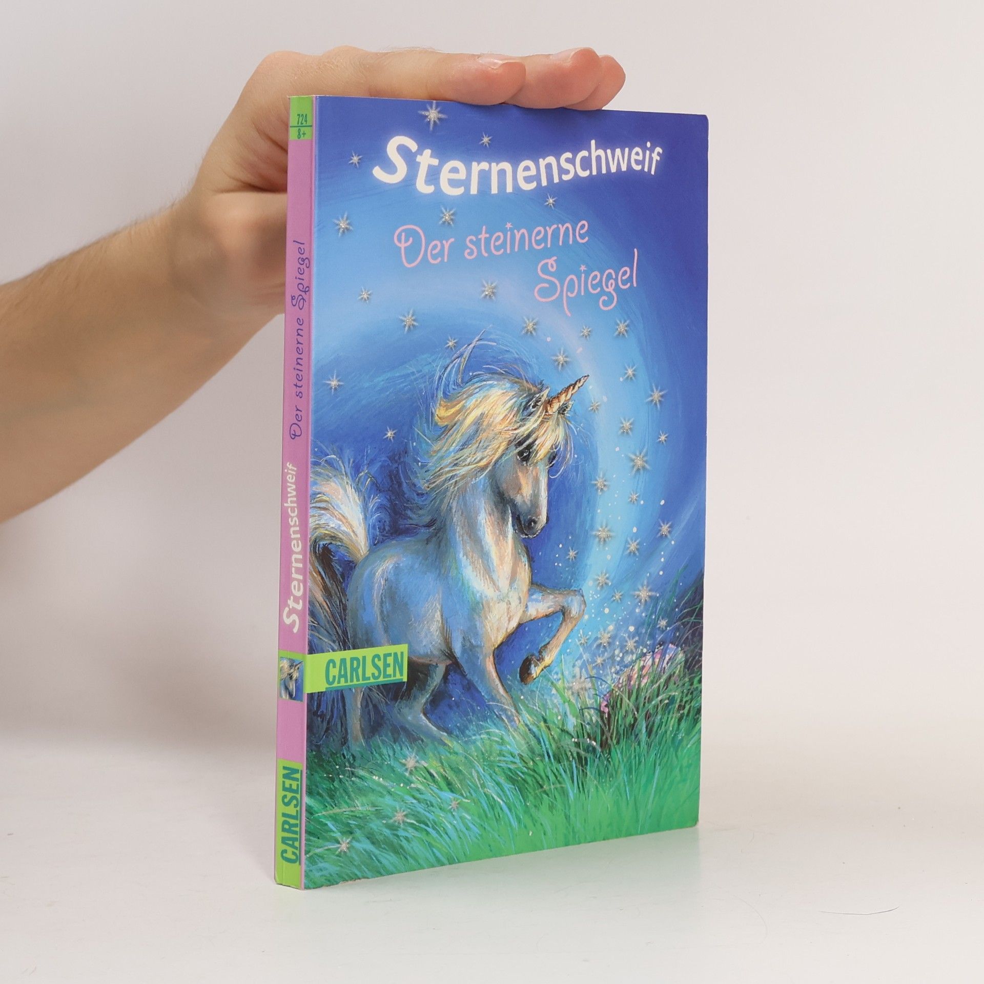 Linda Champan Sternenschweif. Der steinerne Spiegel