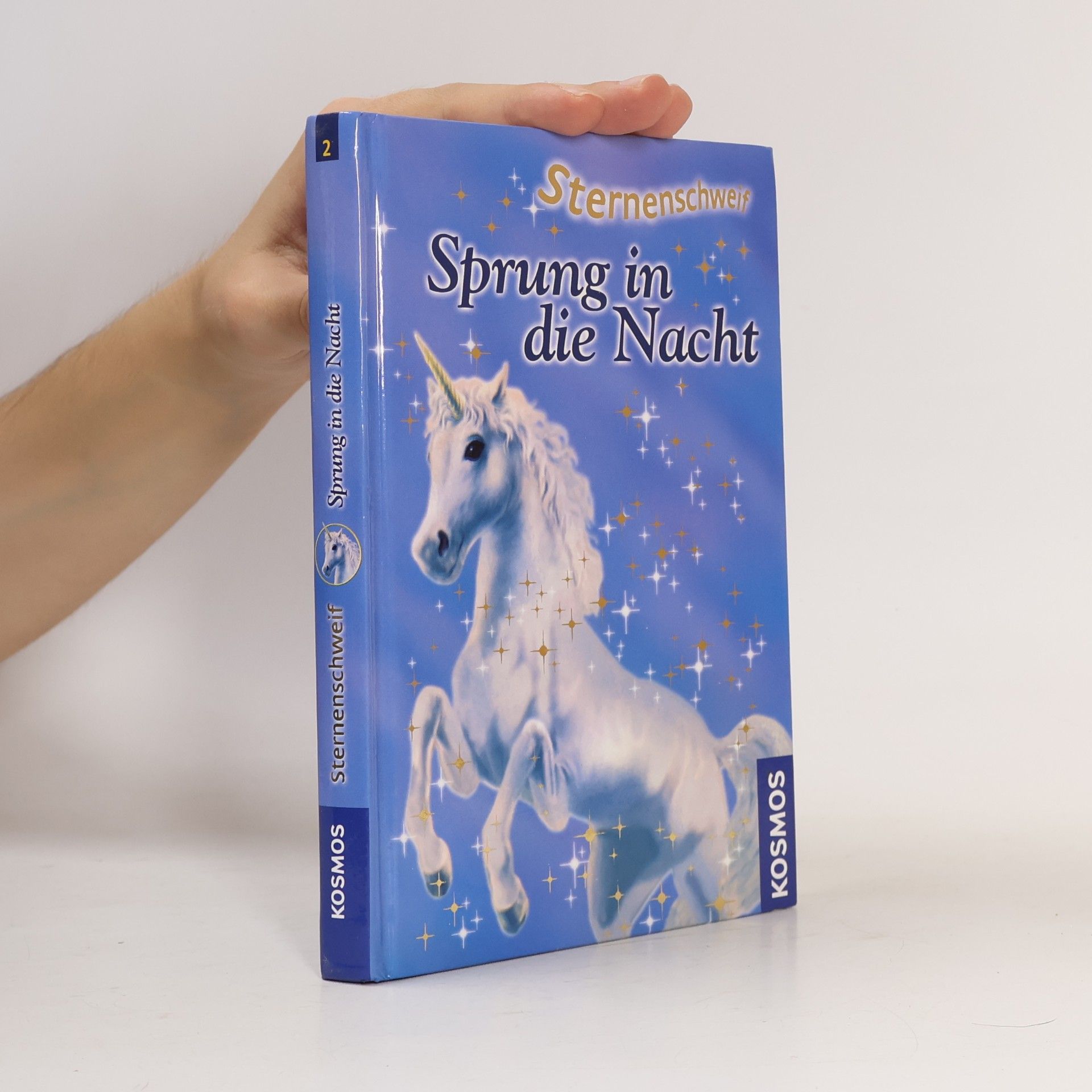Linda Champan Sprung in die Nacht