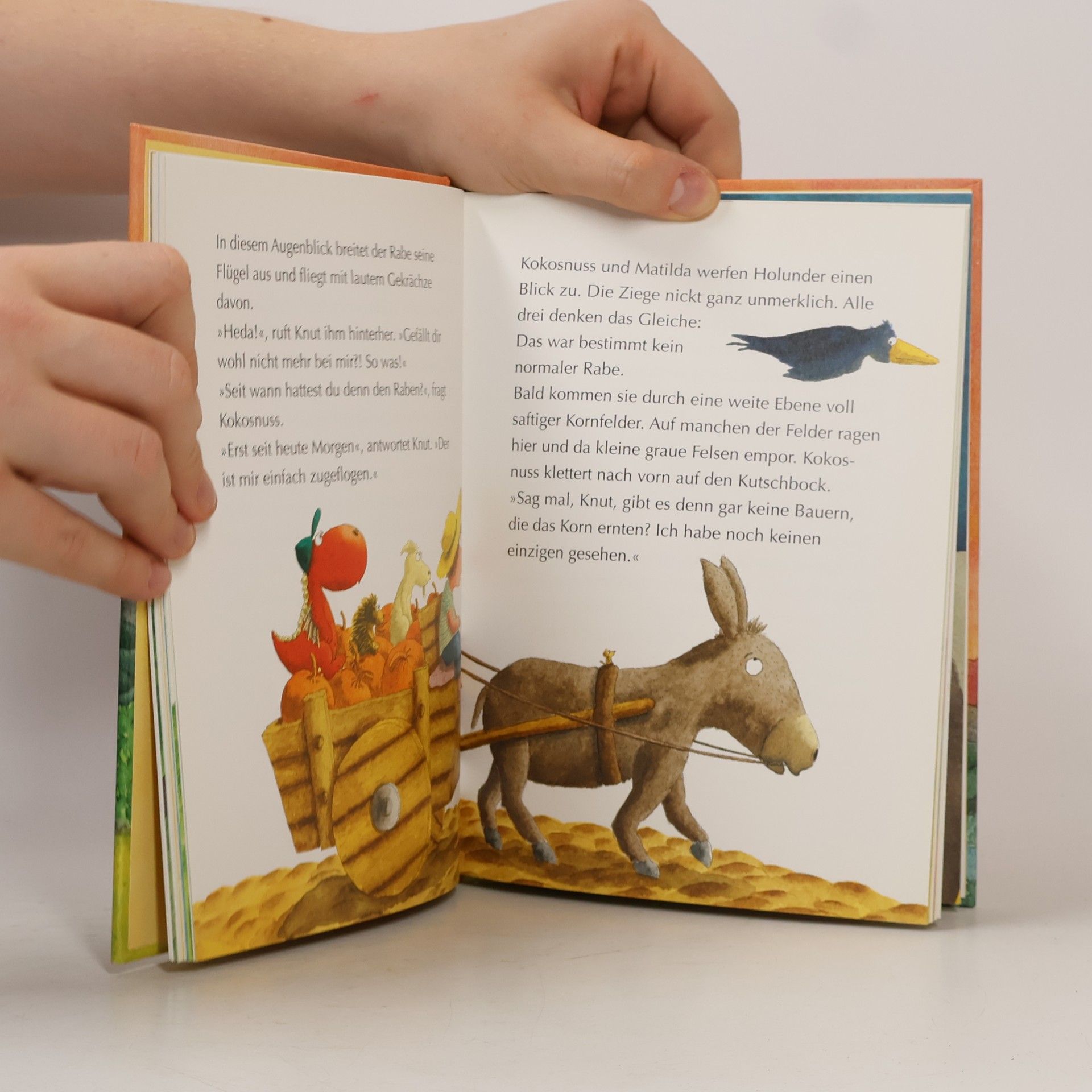 Ingo Seigner Der kleine Drache Kokosnuss und der große Zauberer