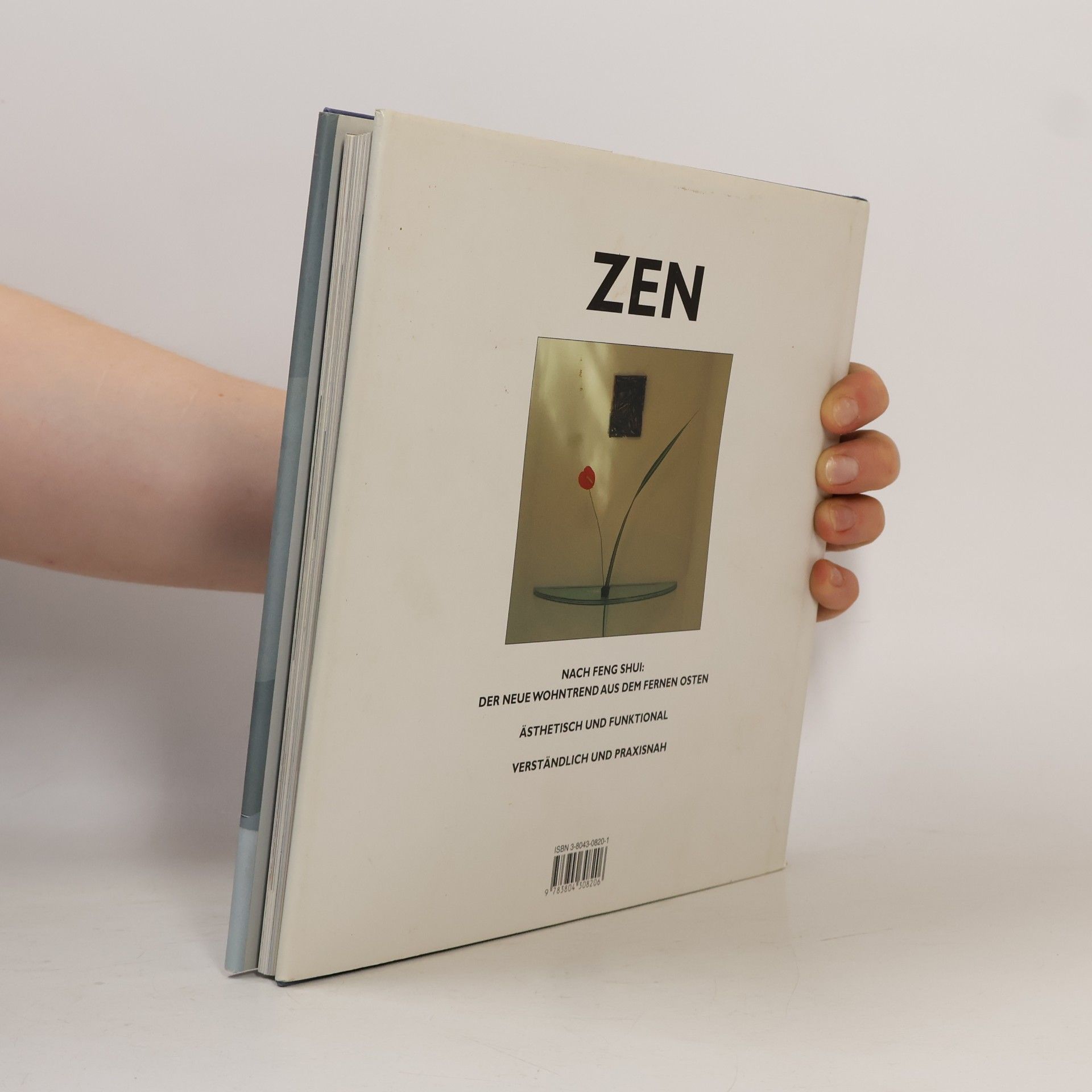 Vinny Lee Wohnen und Zen