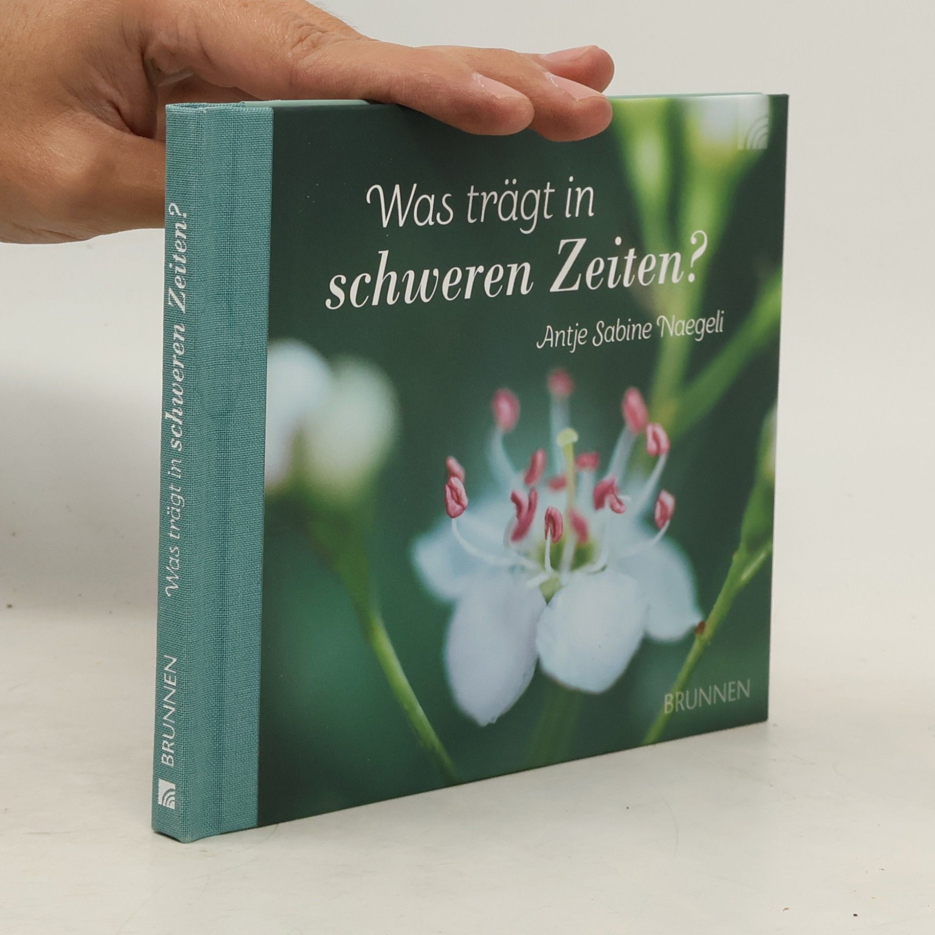 Antje Sabine Naegeli Was trägt in schweren Zeiten?