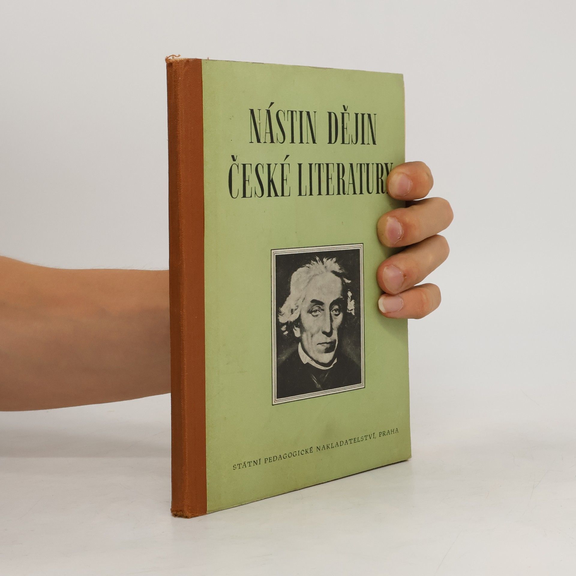 Collectif d'auteurs Nástin dějin české literatury