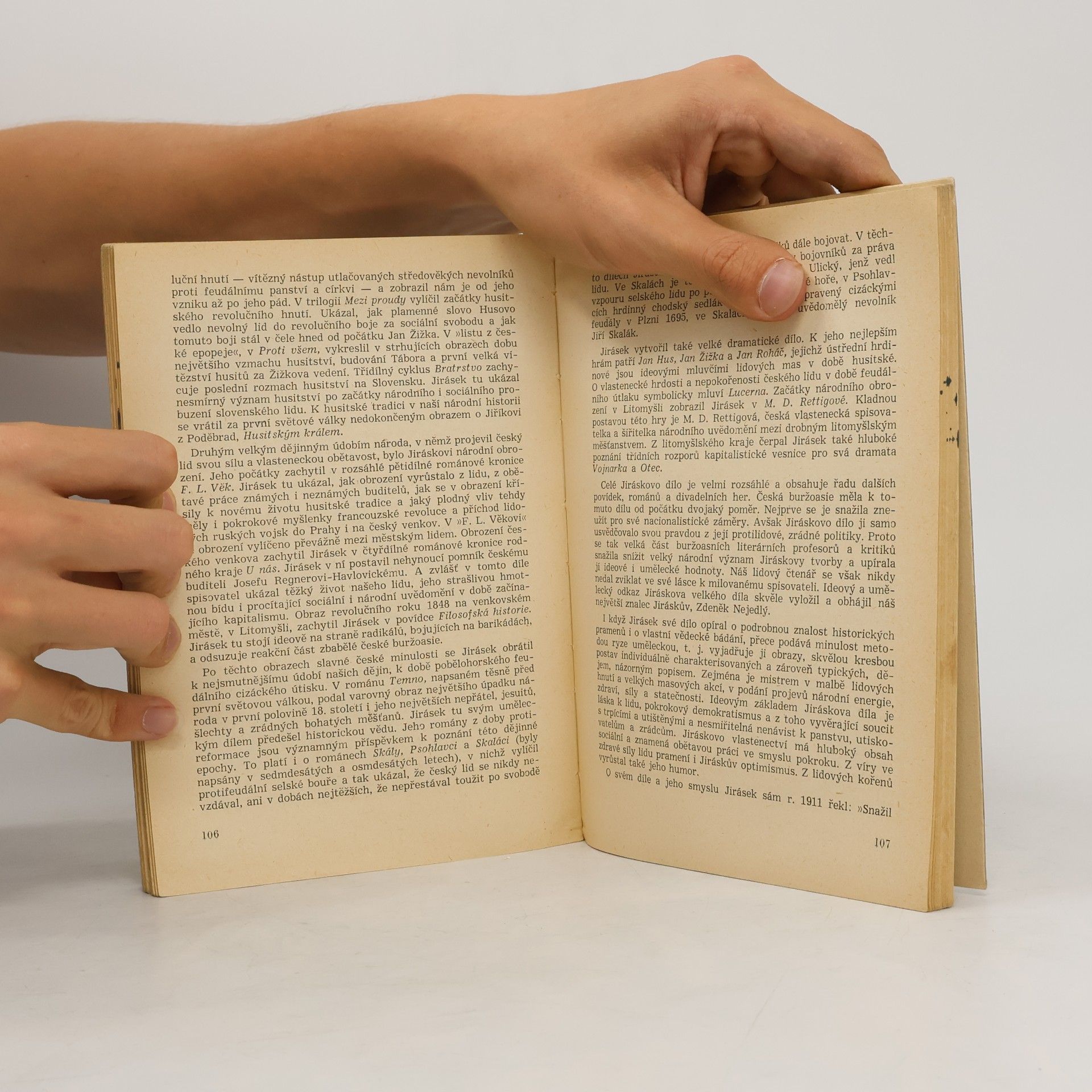 Collectif d'auteurs Nástin dějin české literatury
