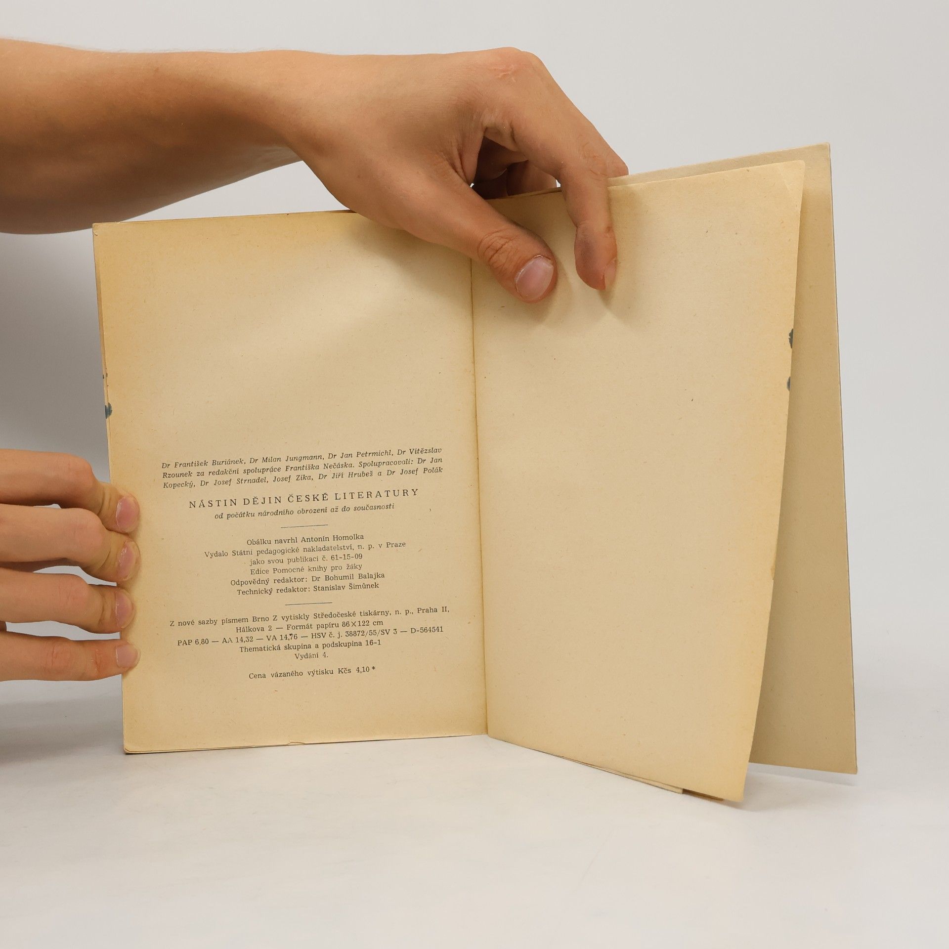 Collectif d'auteurs Nástin dějin české literatury