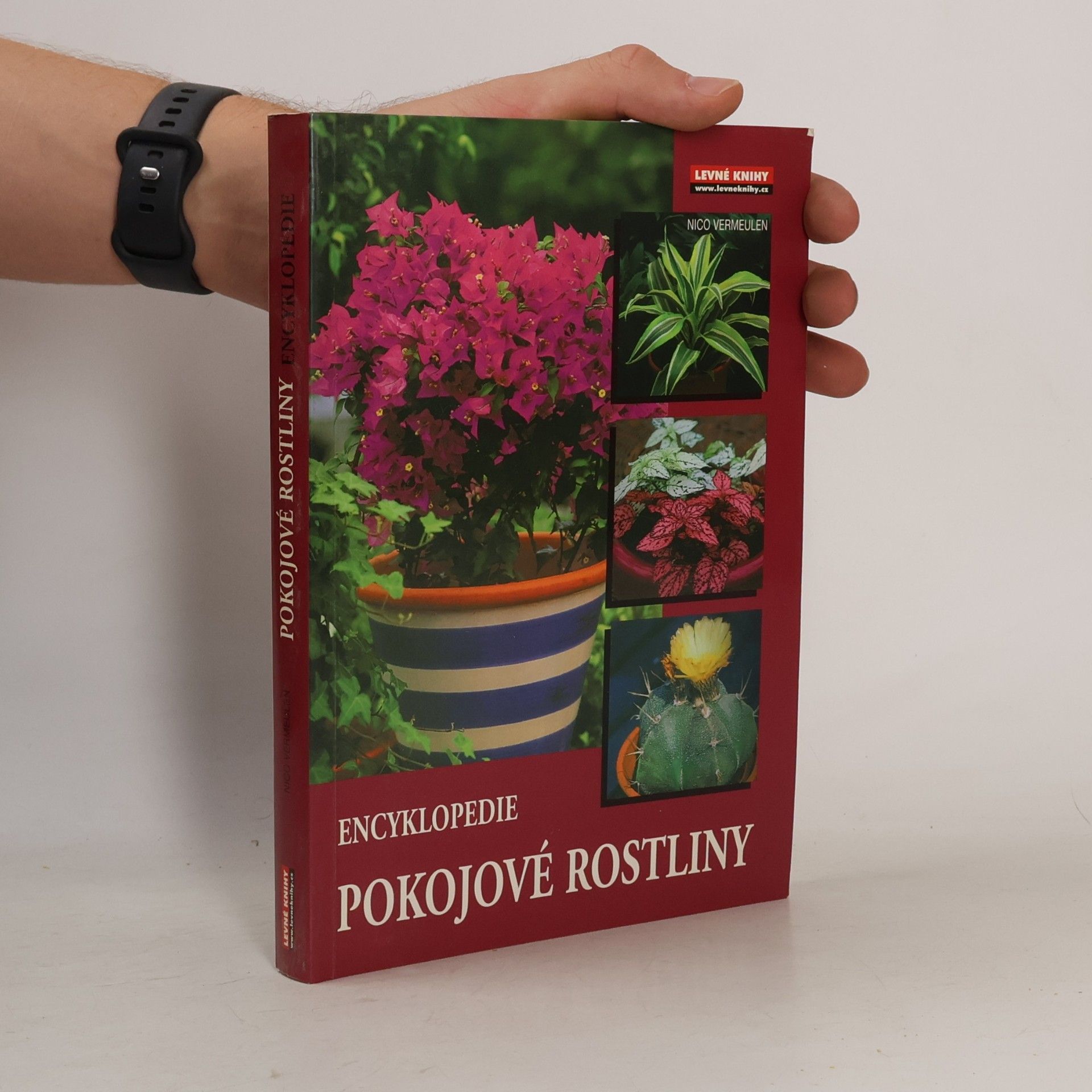 Nico Vermeulen Pokojové rostliny: Encyklopedie