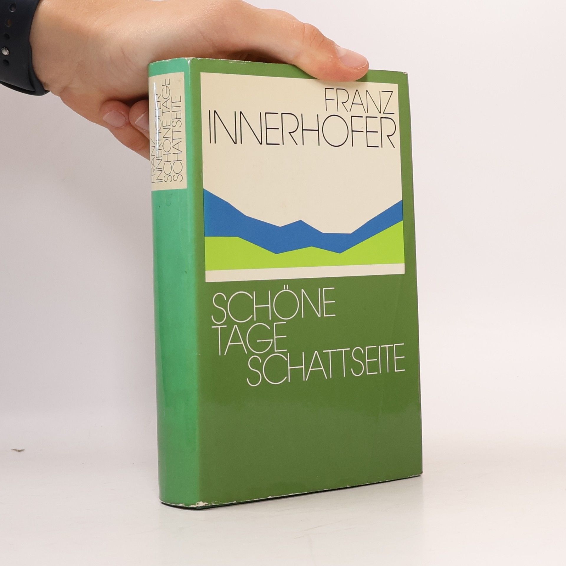 Franz Innerhofer Schöne Tage. Schattseite