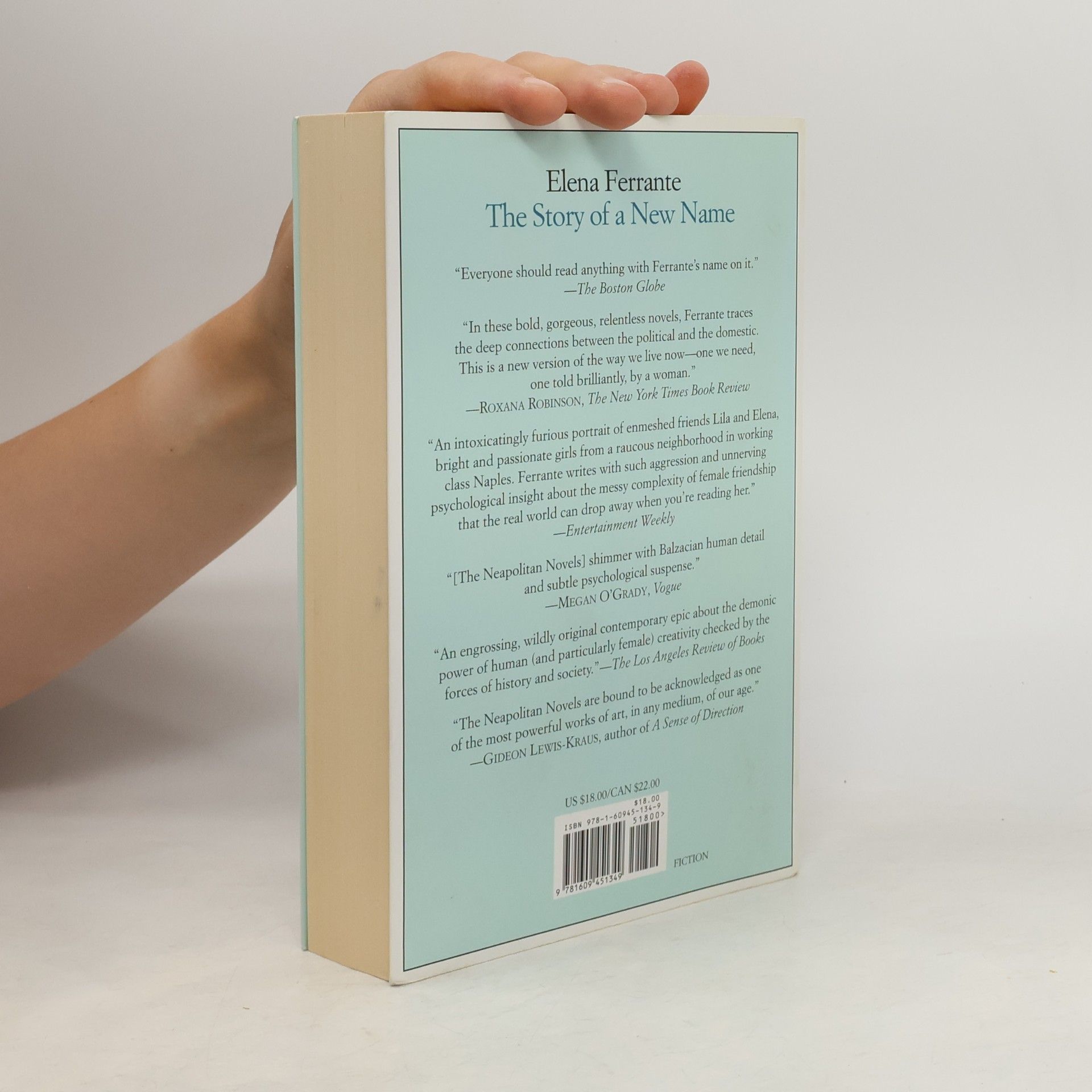 Elena Ferrante The Story of a New Name