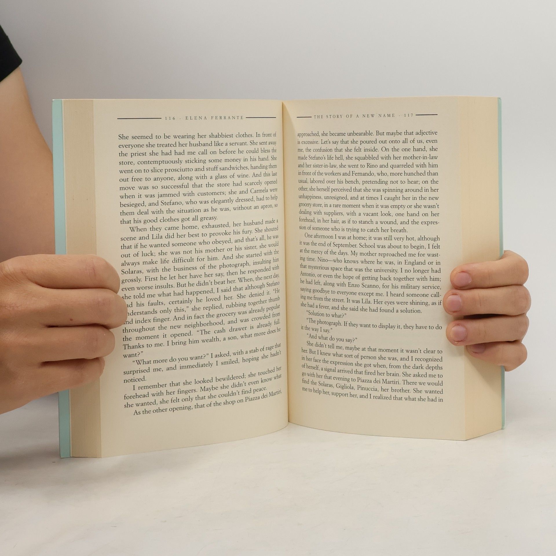 Elena Ferrante The Story of a New Name