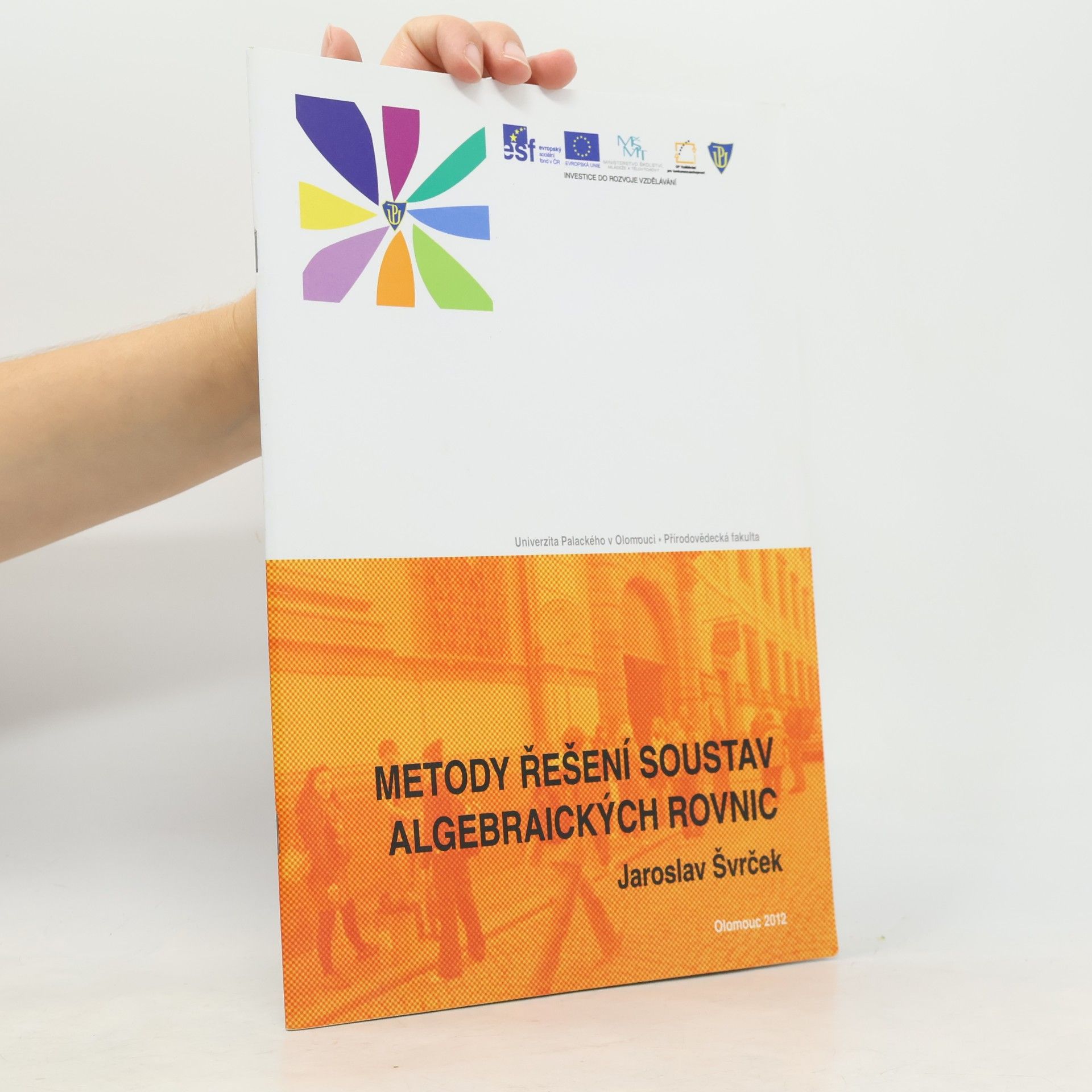 Metody řešení soustav algebraických rovnic