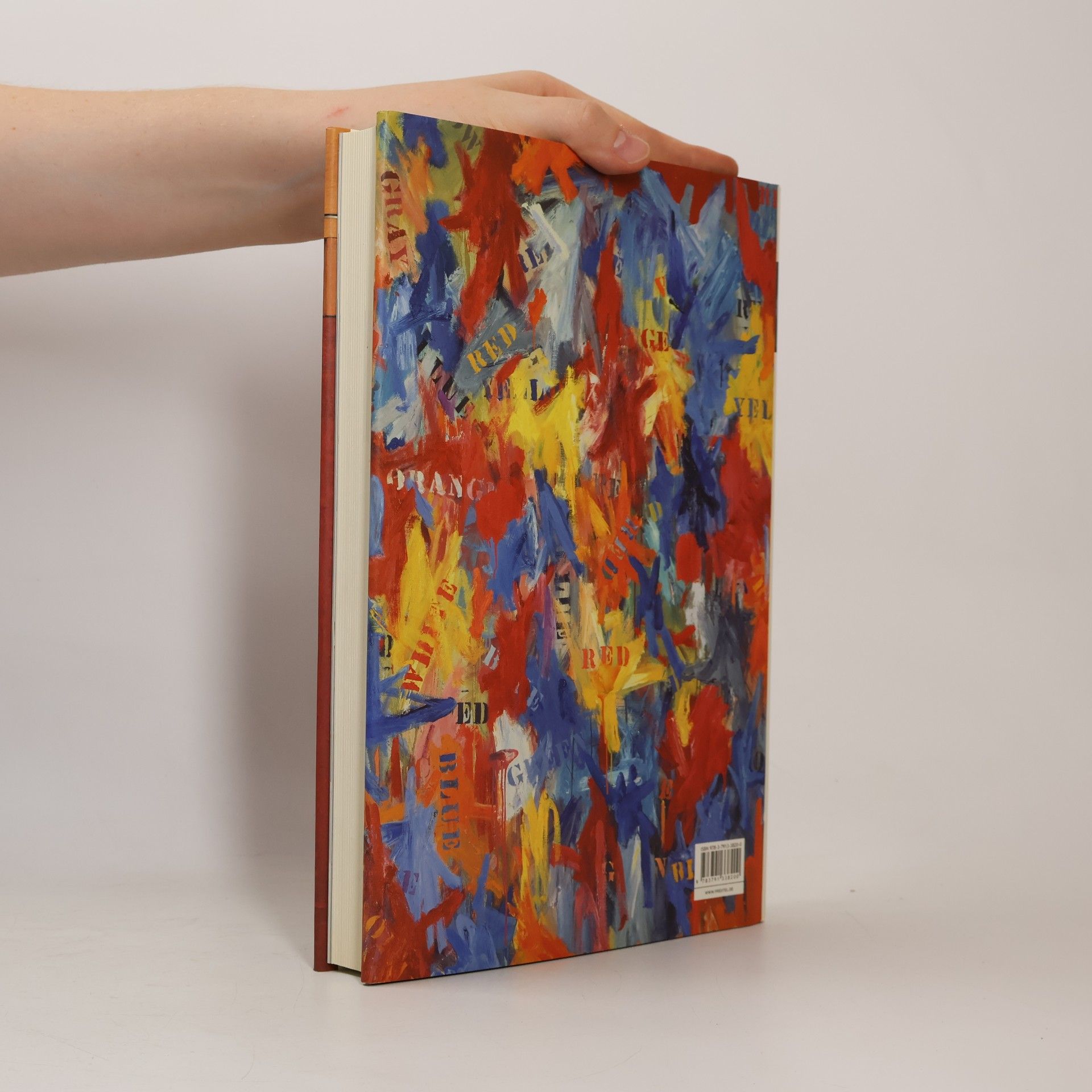 Bernhard Bürgi Jasper Johns