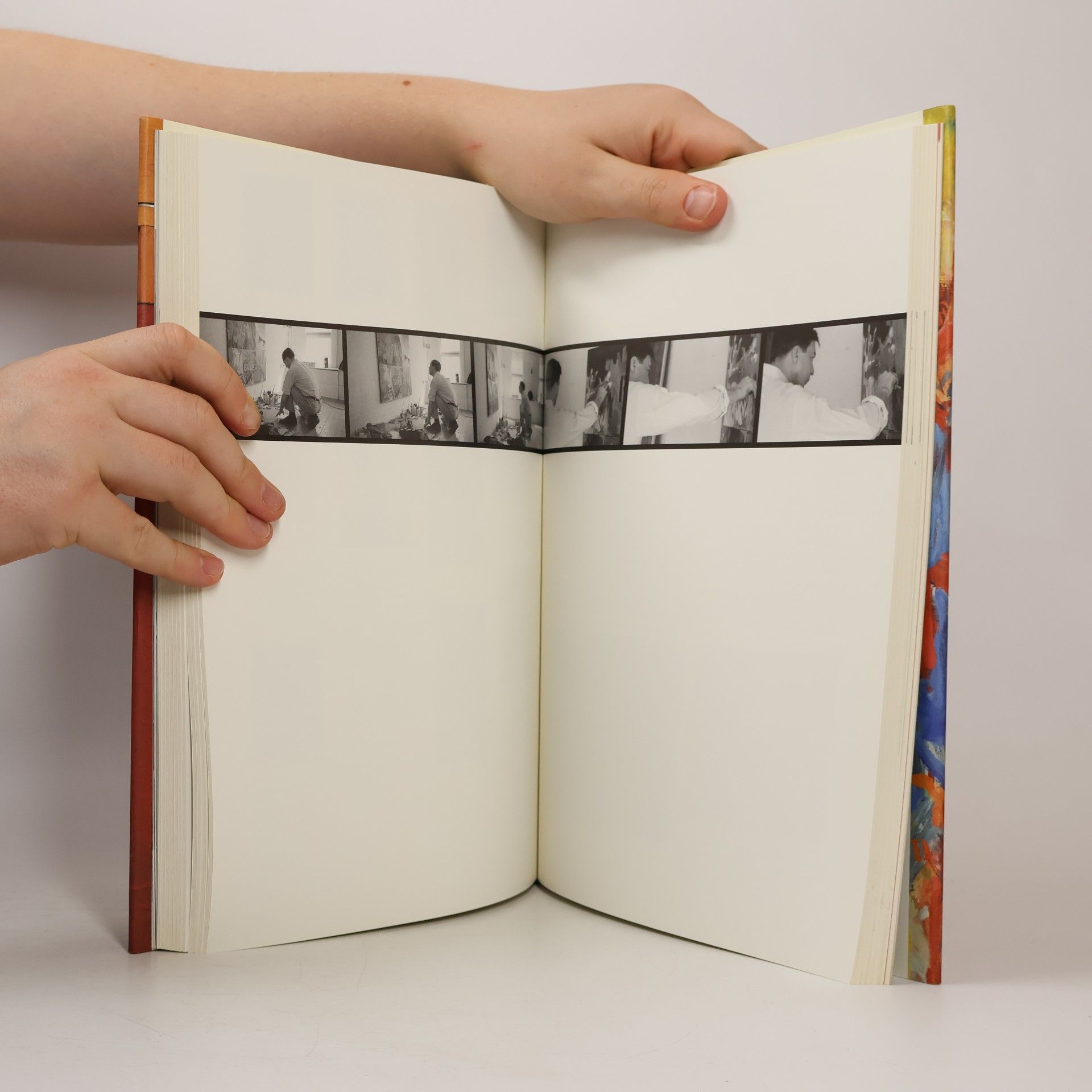 Bernhard Bürgi Jasper Johns