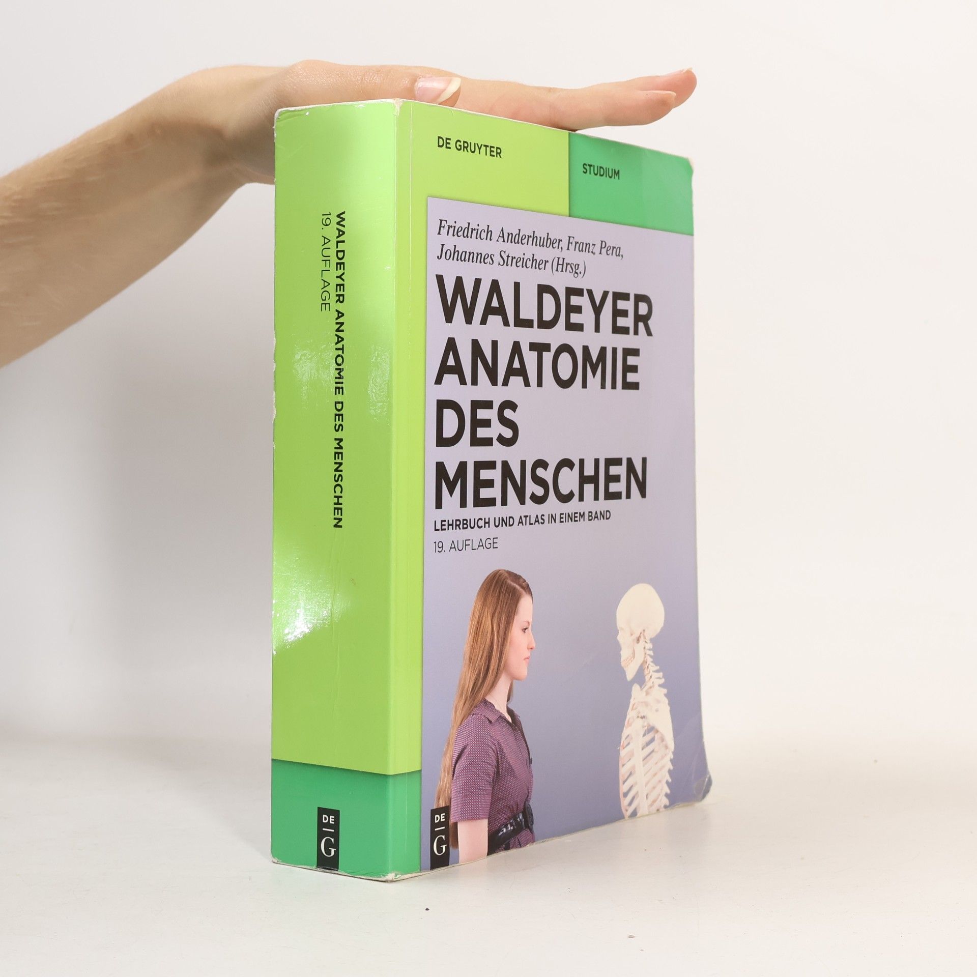 Anton Johannes Waldeyer Waldeyer anatomie des menschen