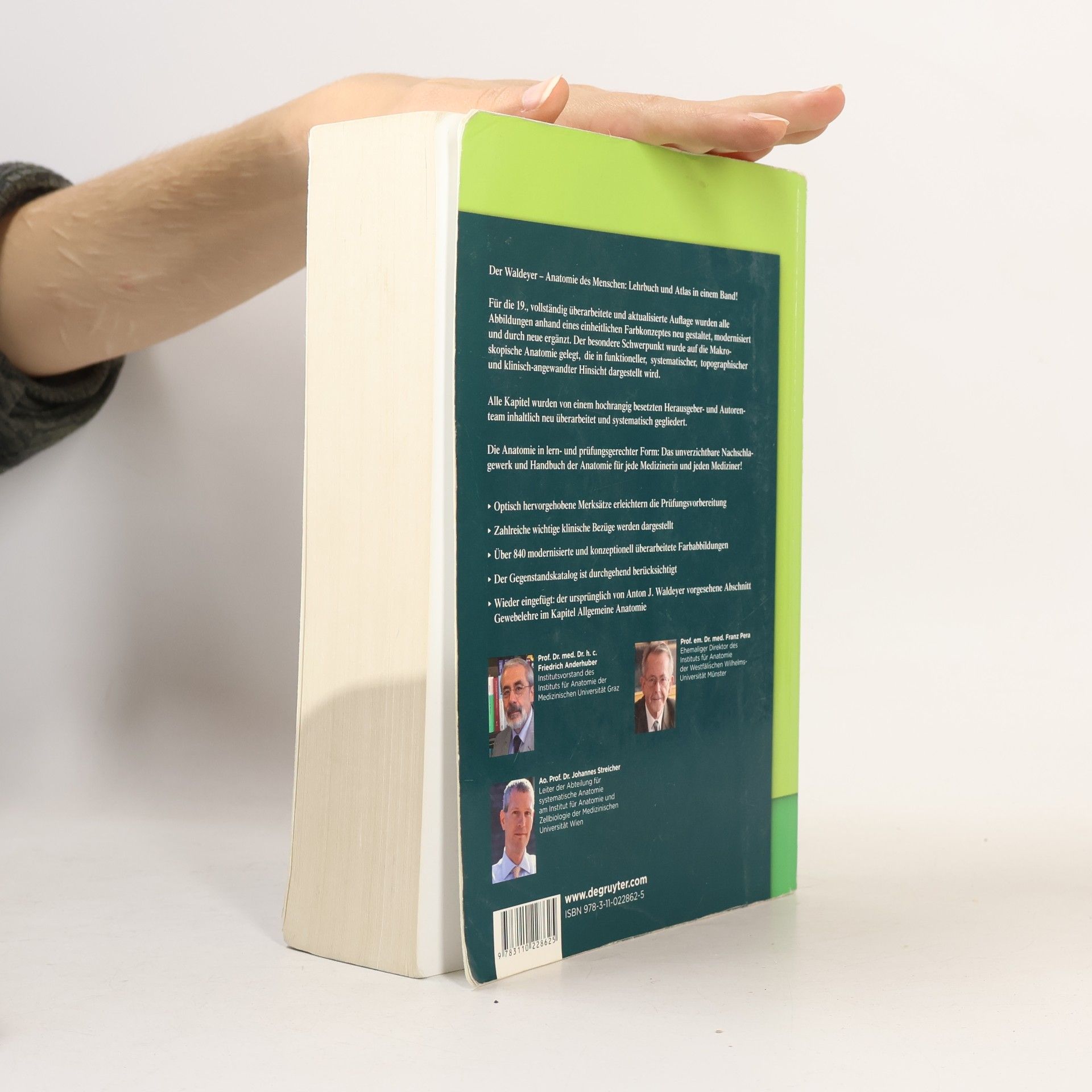J. Jochen Fangha nel Waldeyer anatomie des menschen