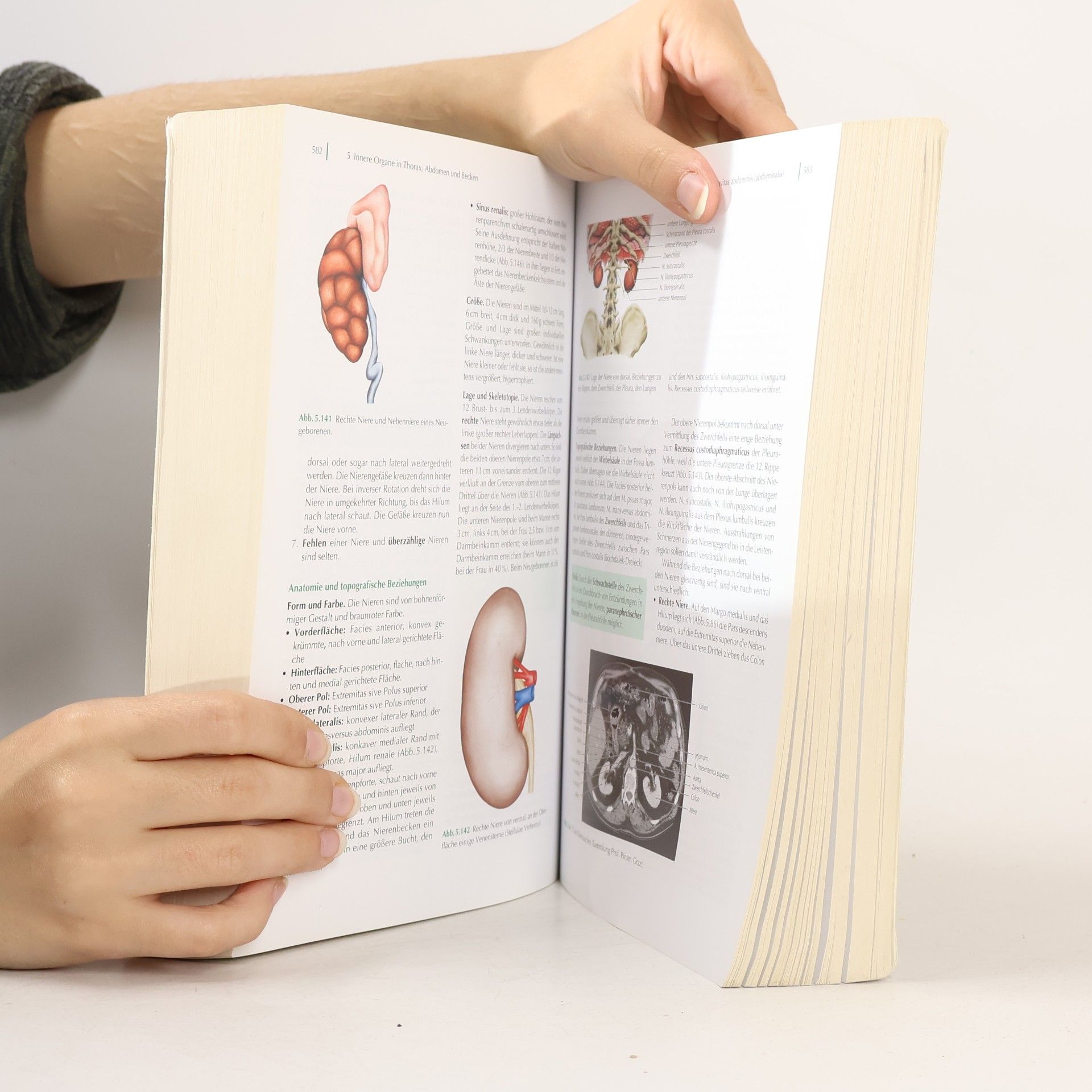 J. Jochen Fangha nel Waldeyer anatomie des menschen