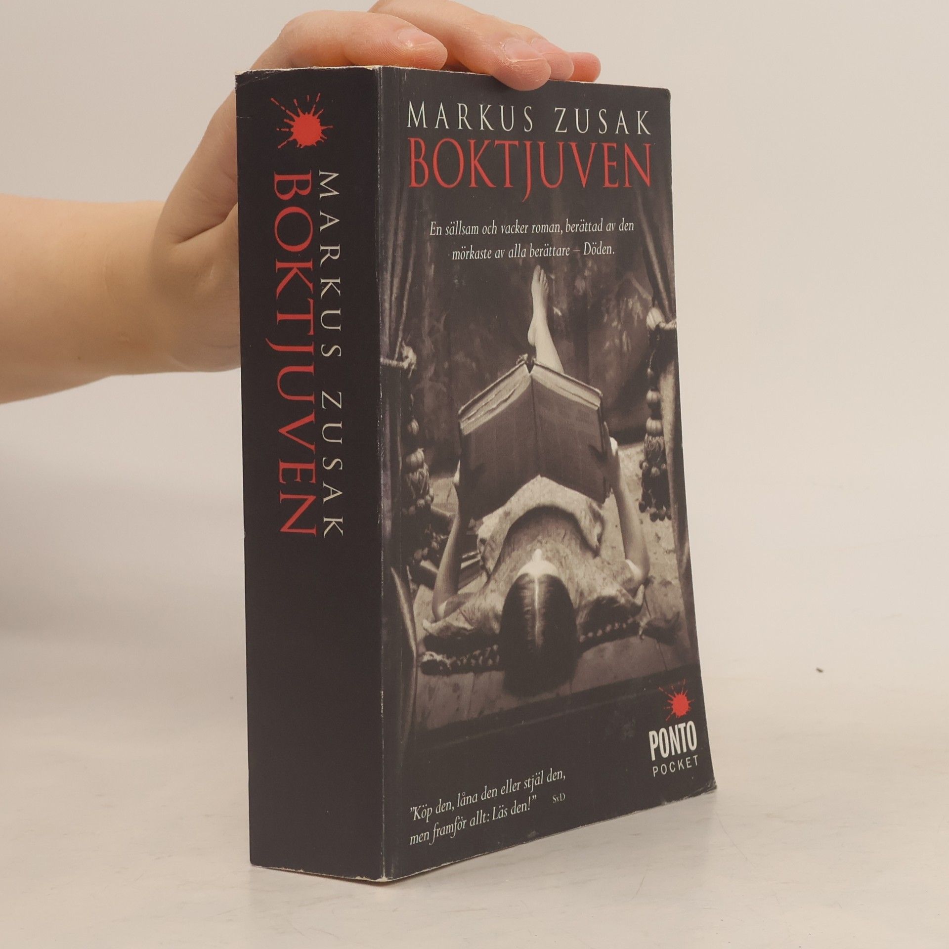 Anna Strandberg Boktjuven
