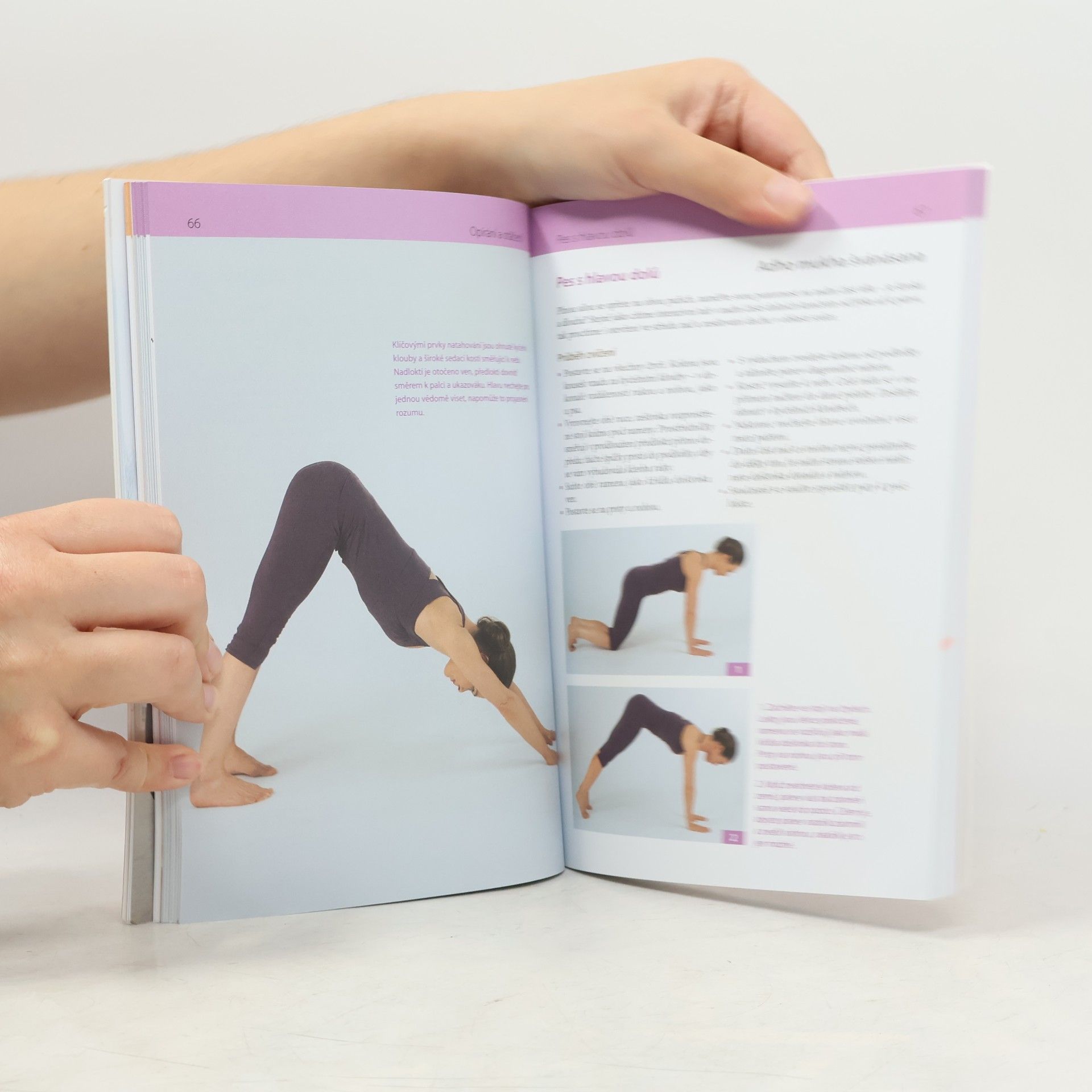 Christian Larsen Medical yoga. Anatomicky správné cvičení