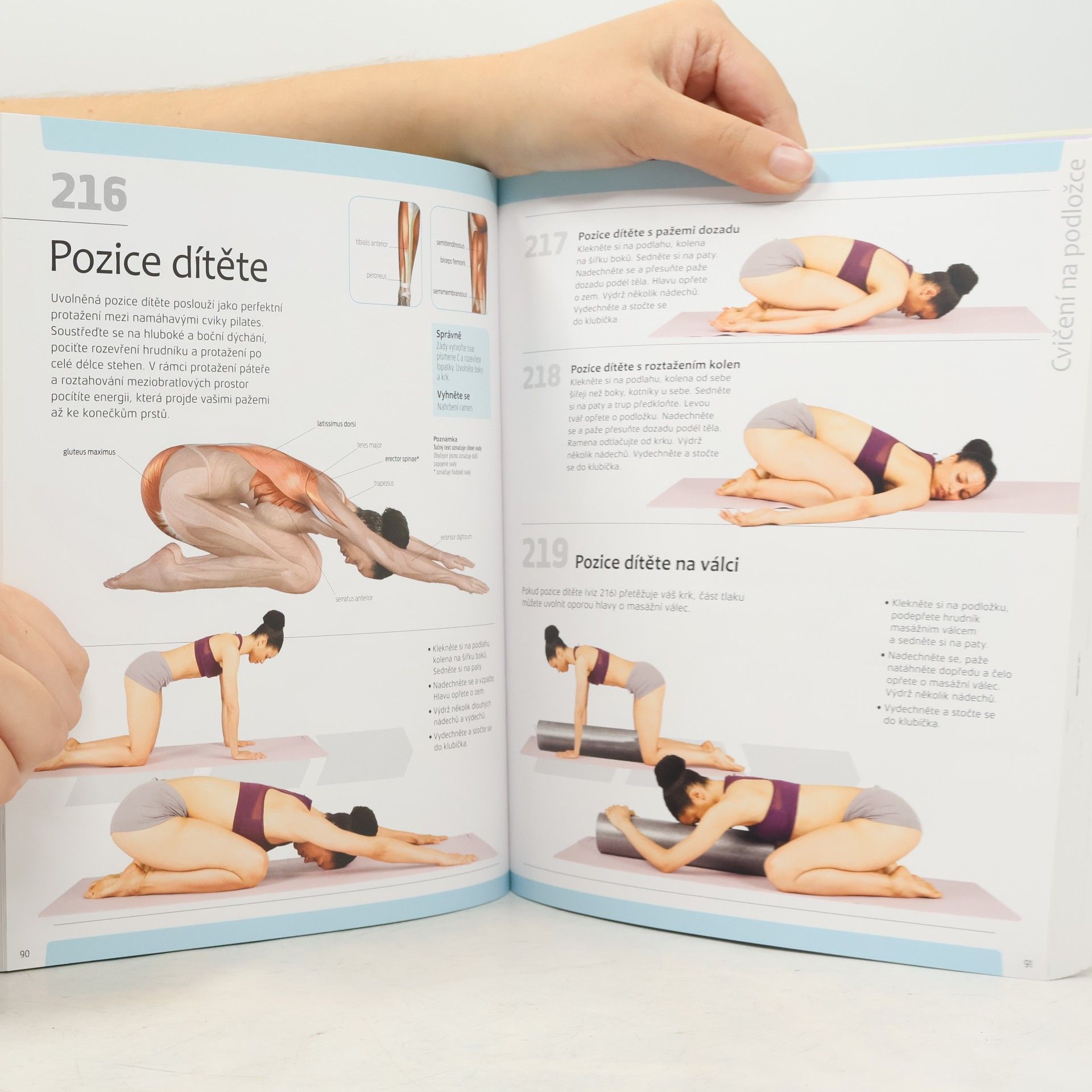 Audra Avizienis 501 nejlepších cviků pilates