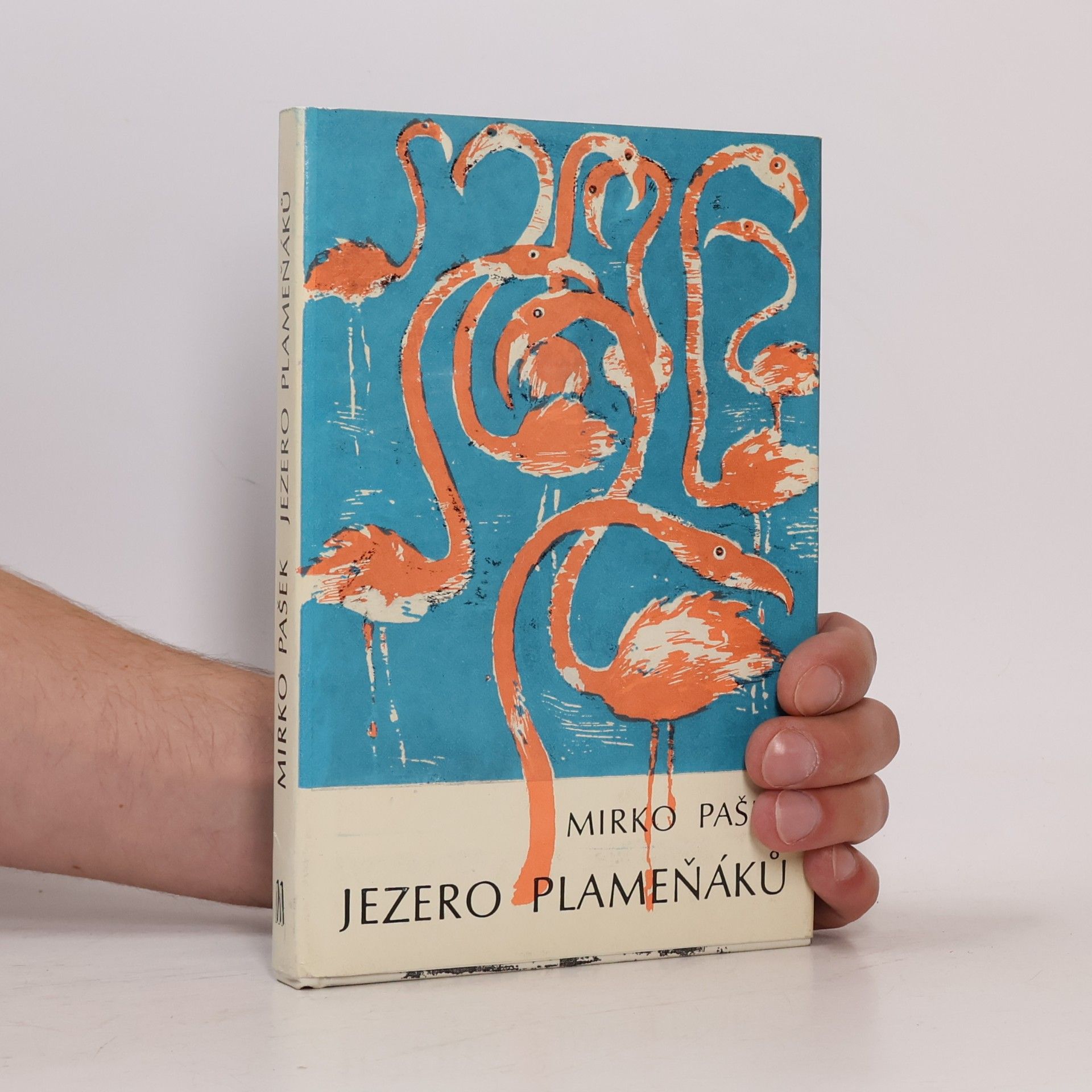 Mirko Pašek Jezero plameňáků