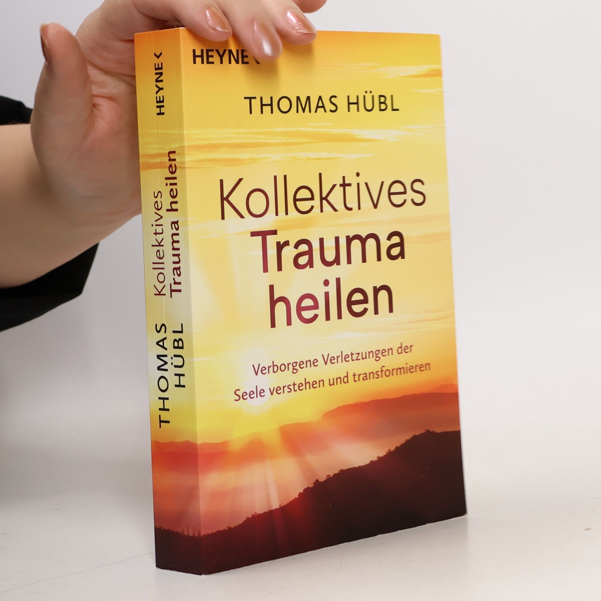 Kollektives Trauma heilen