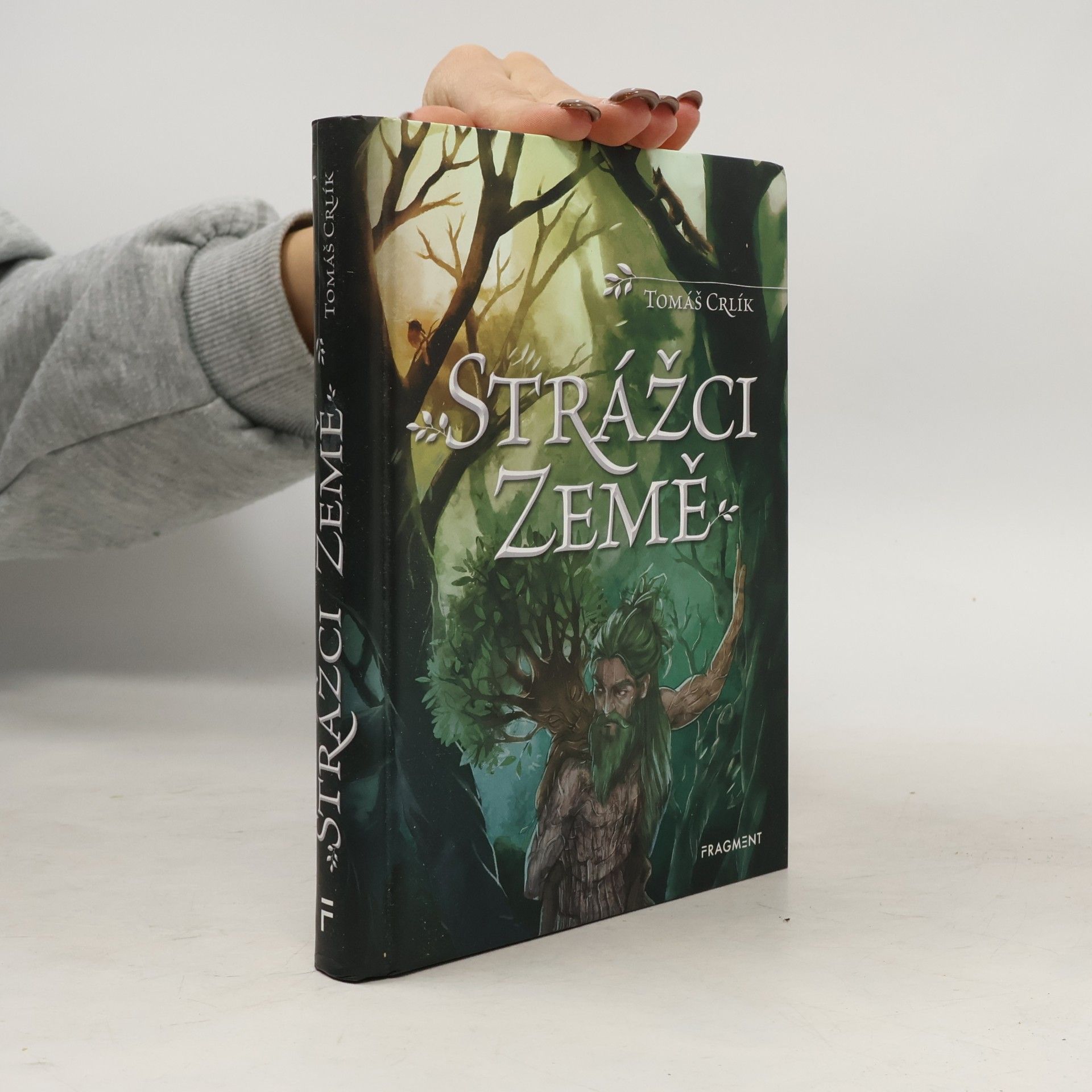 Ergall Strážci Země