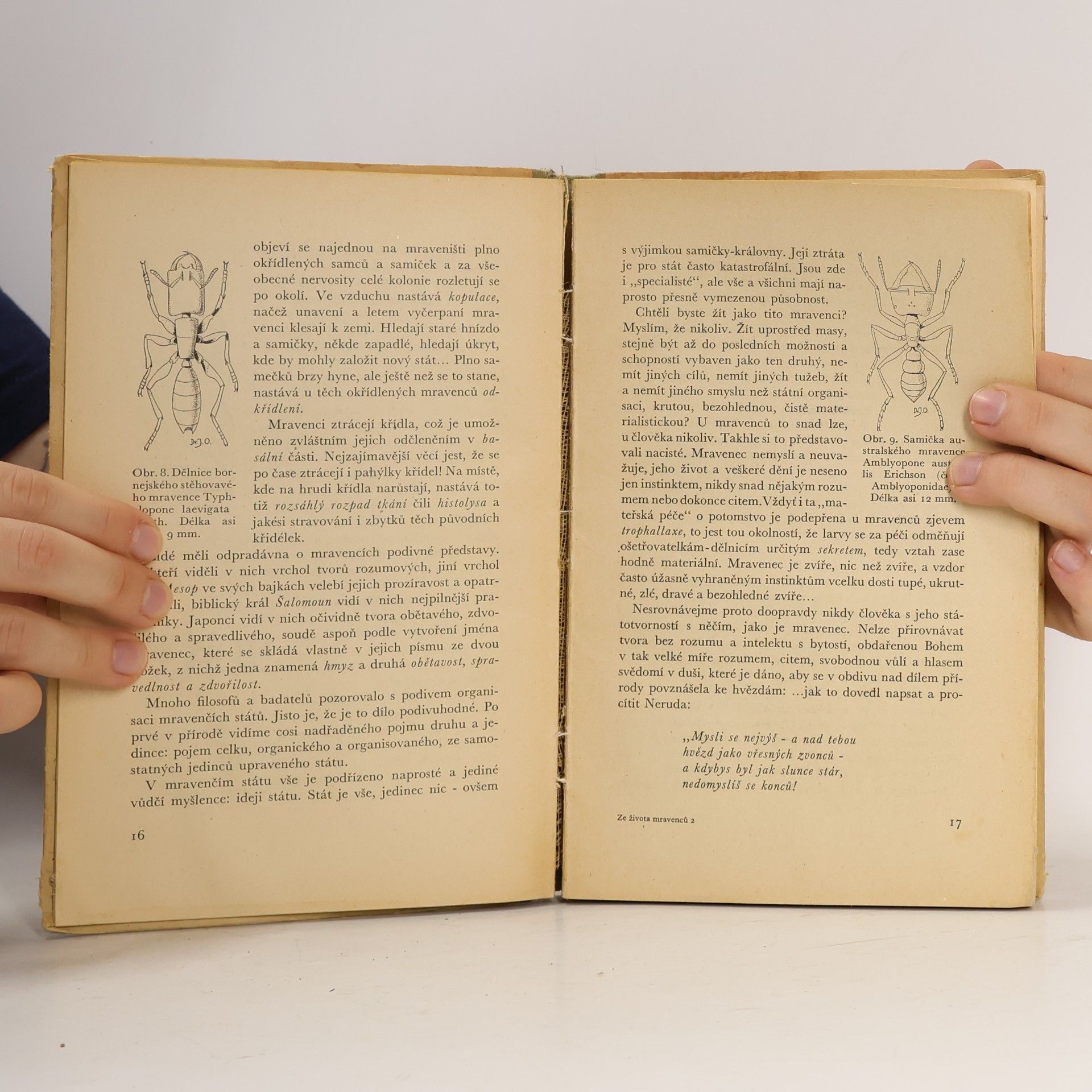 Jan Obenberger Ze života mravenců