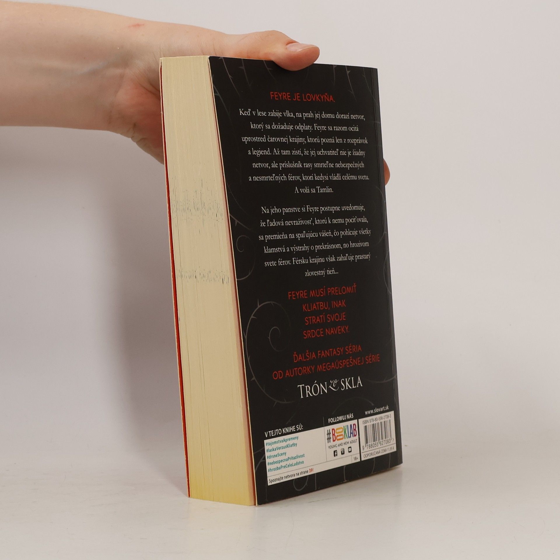 Sarah J. Maas Na dvore z tŕňov a ruží