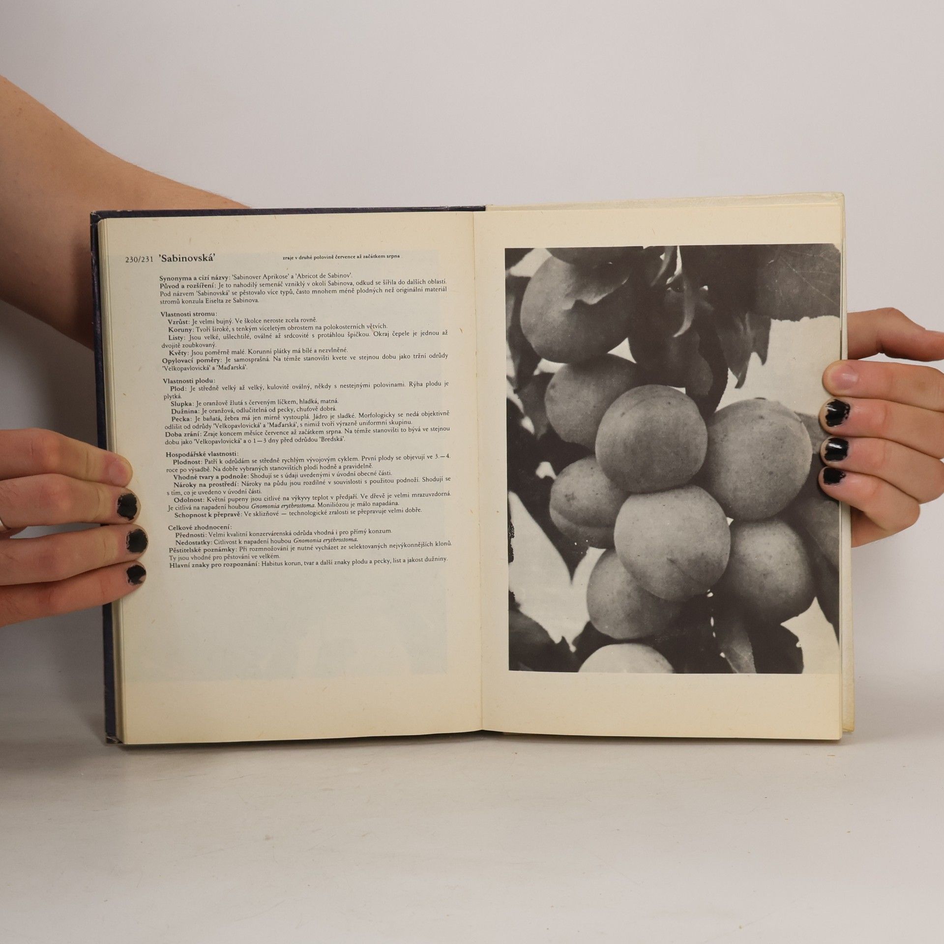 Antonín Dvořák Atlas odrůd ovoce