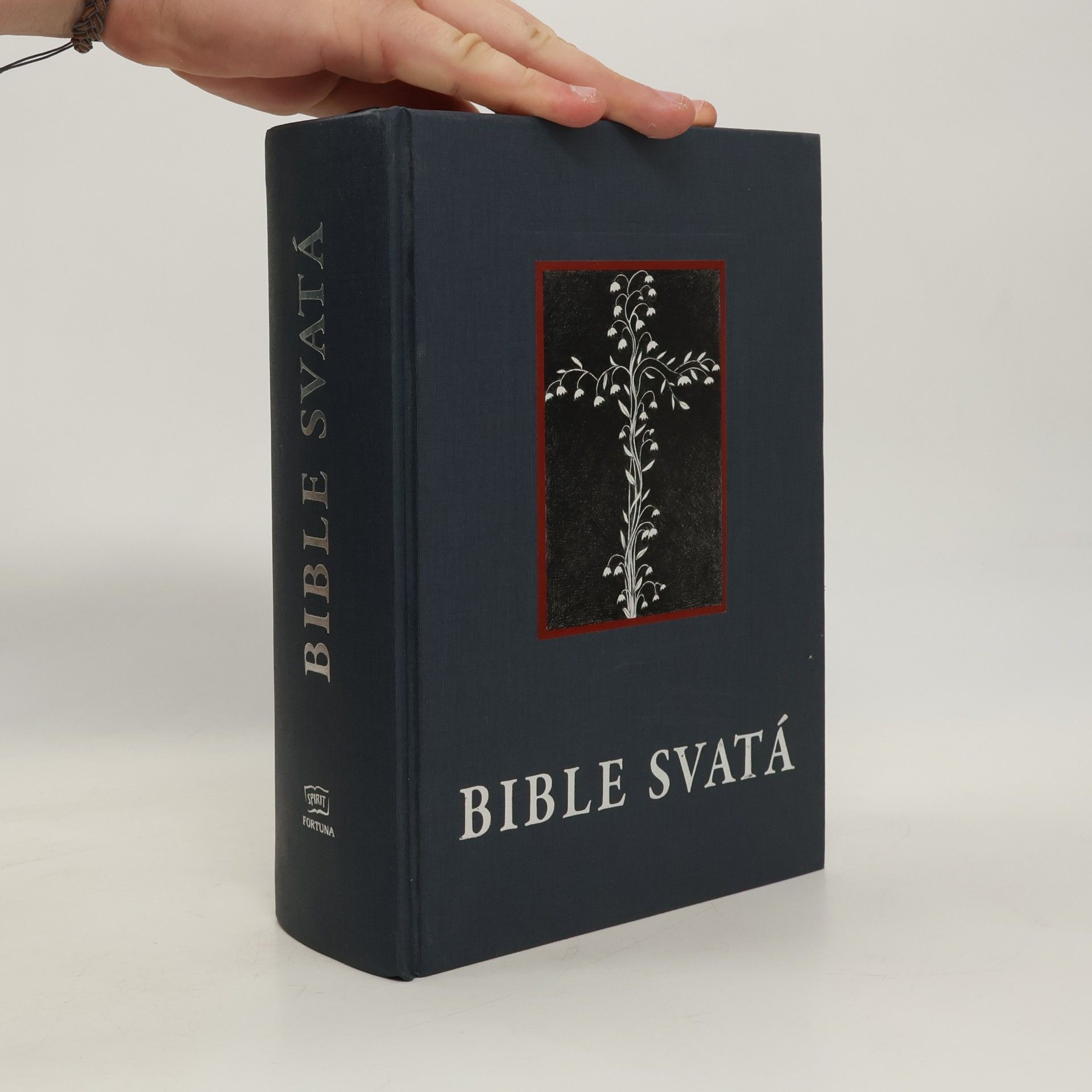 Collectif d'auteurs Kralická Bible svatá, aneb, Všecka svatá písma Starého i Nového zákona : podle posledního vydání Kralického z roku 1613
