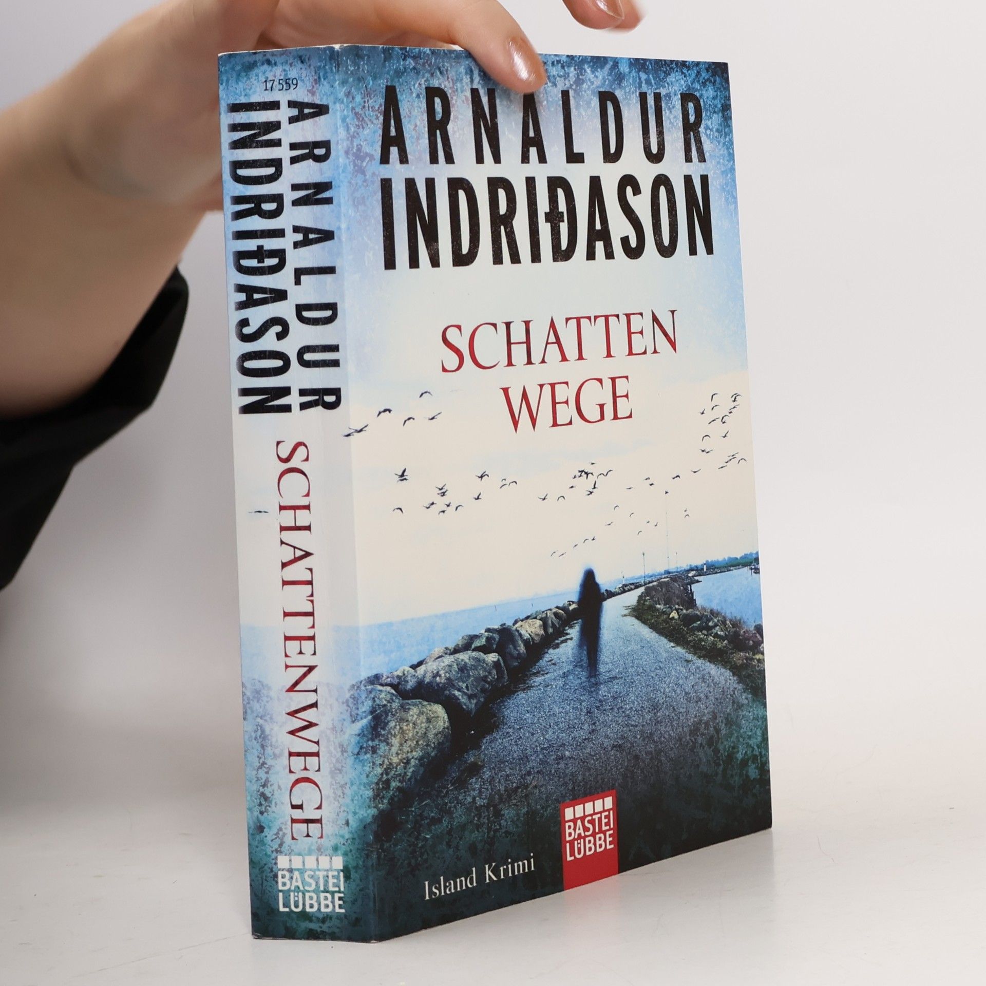Arnaldur Indriðason Schattenwege