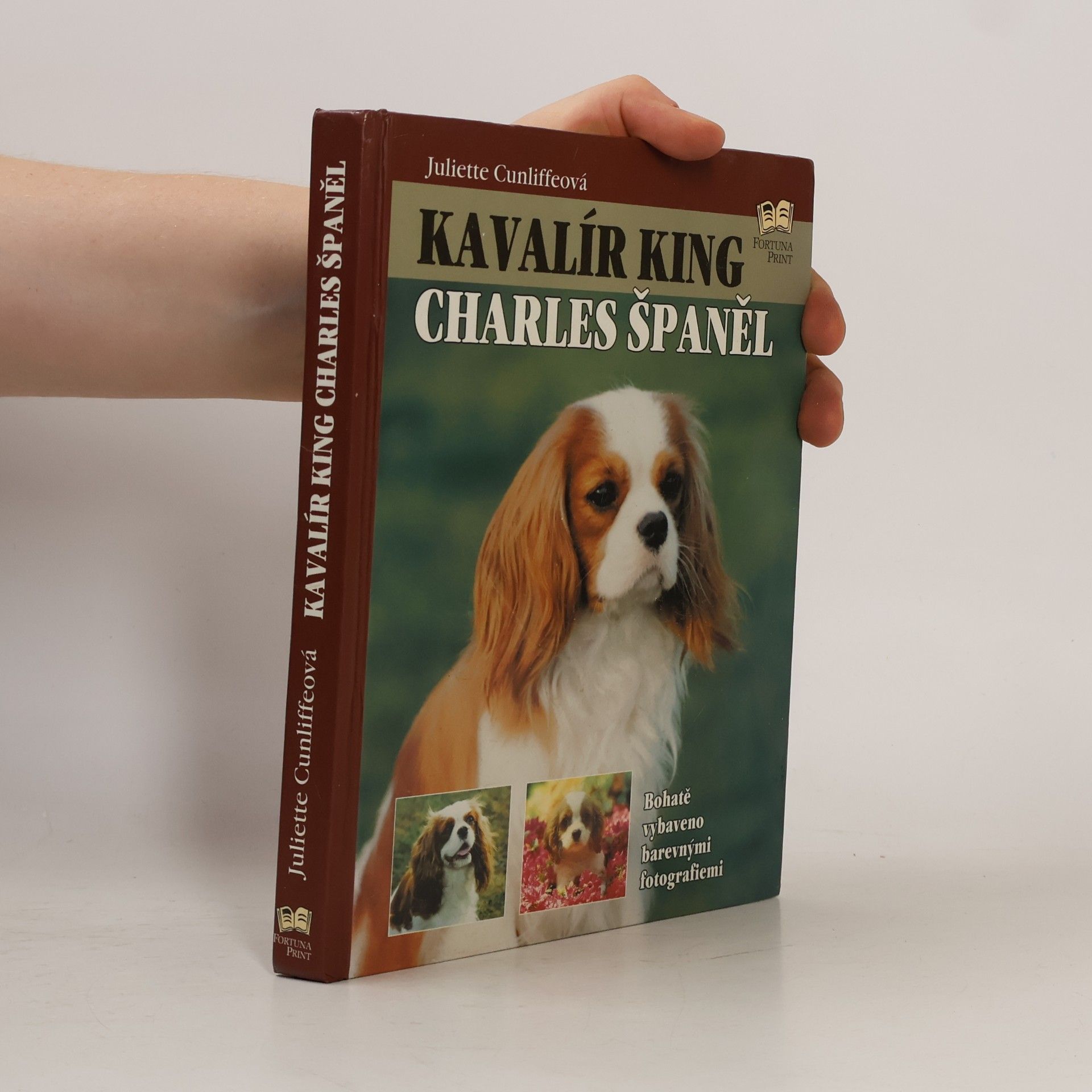 Juliette Cunliffe Kavalír king Charles španěl