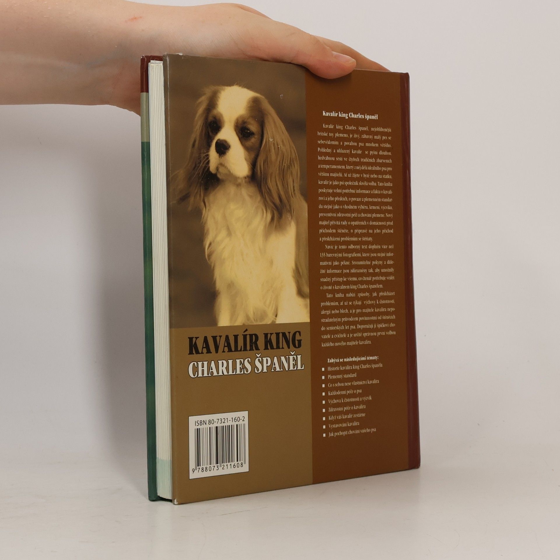 Juliette Cunliffe Kavalír king Charles španěl