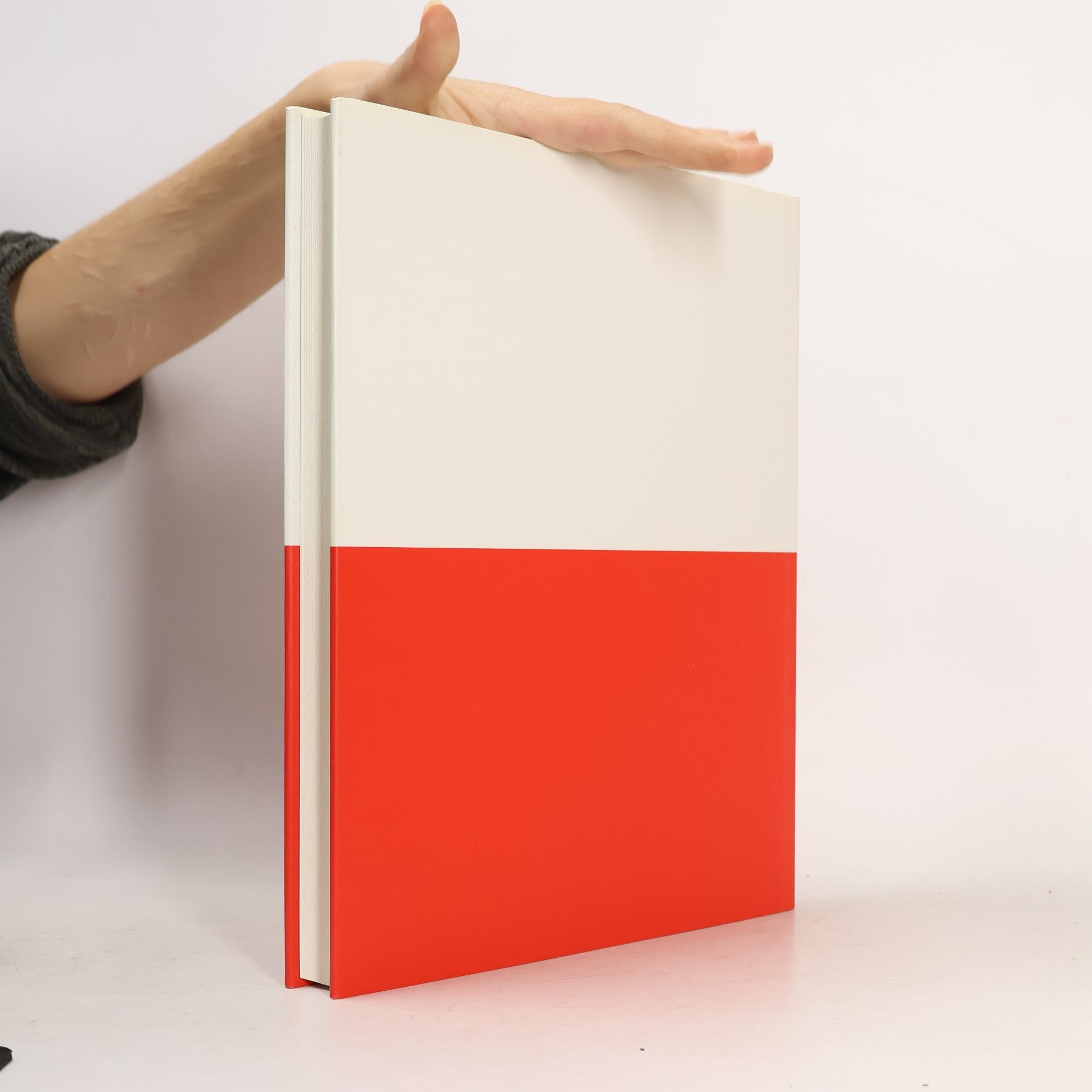 Klaus Weber Punkt, Linie, Fläche : Druckgraphik am Bauhaus