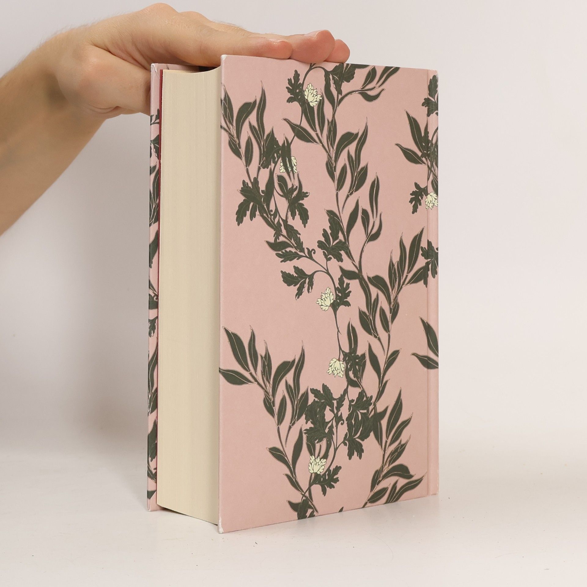 Anne Brontë Die großen Romane der Schwestern Brontë