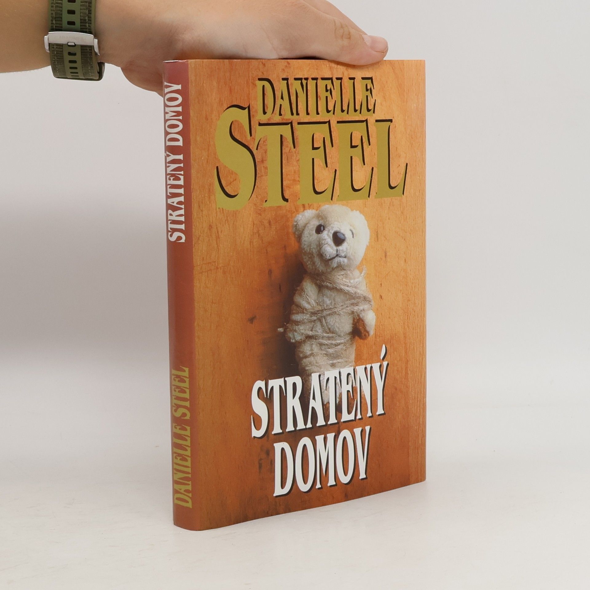 Danielle Steelová Stratený domov