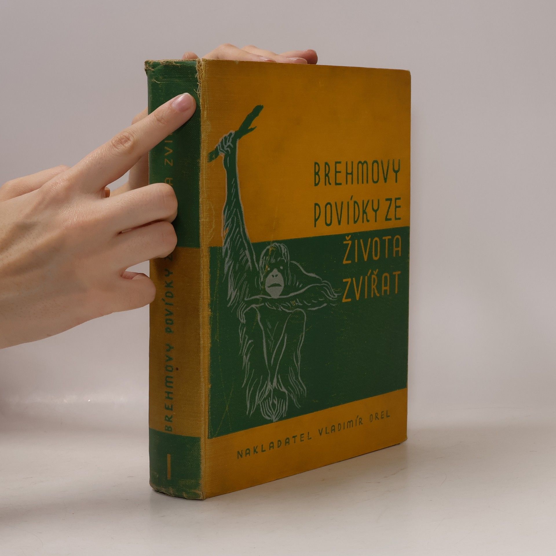 Alfred Edmund Brehm Brehmovy povídky ze života zvířat I.