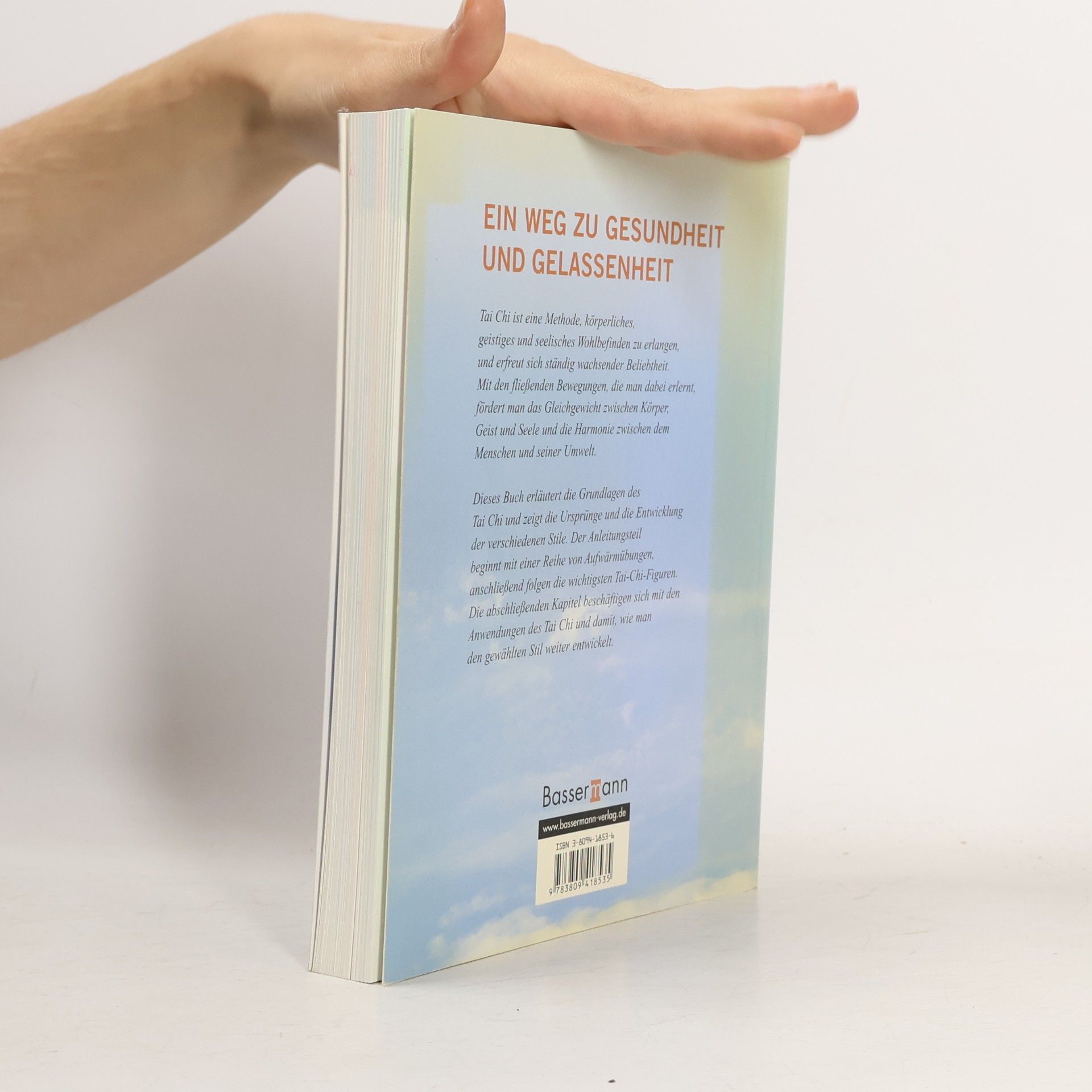 Raymond Pawlett Handbuch Tai-Chi
