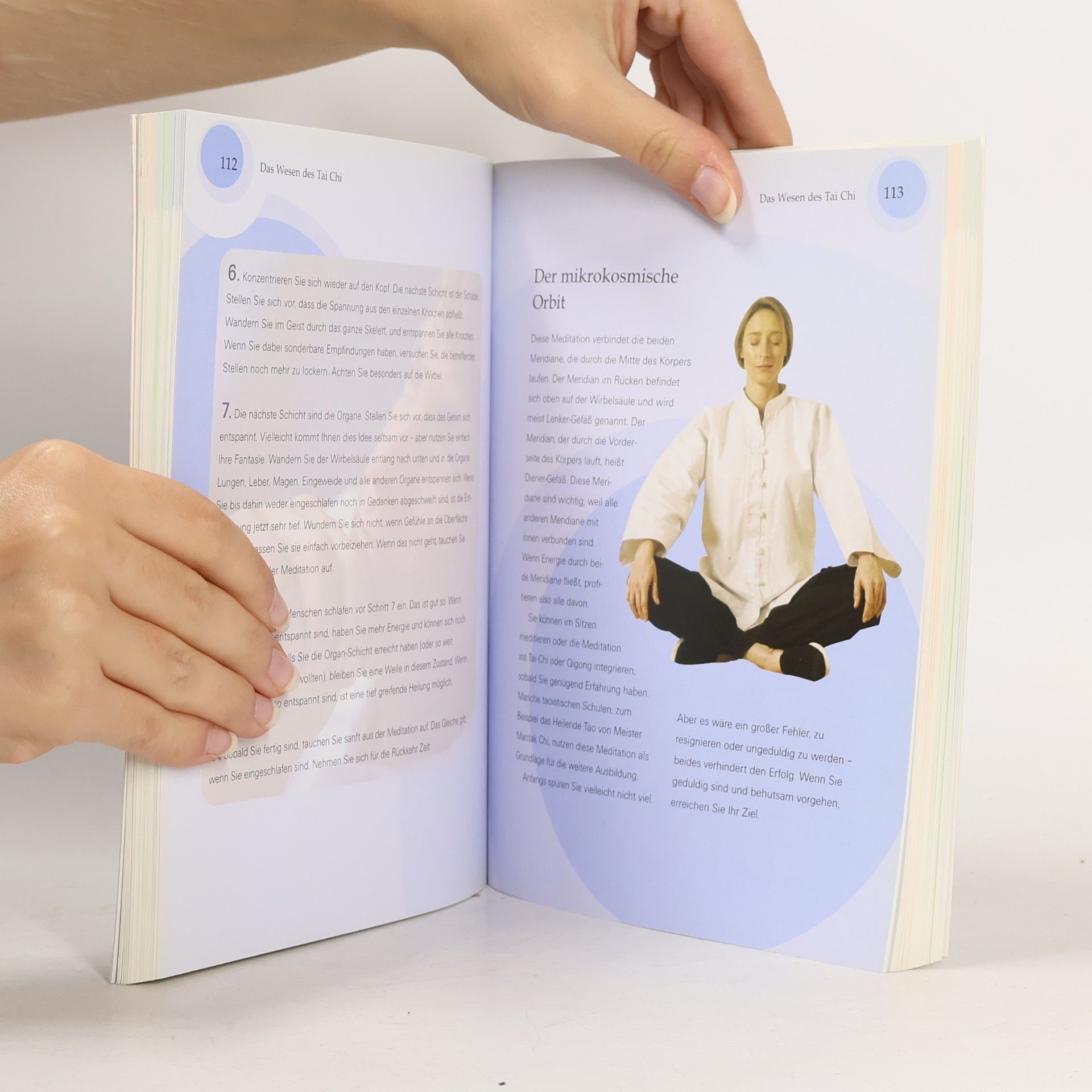Raymond Pawlett Handbuch Tai-Chi