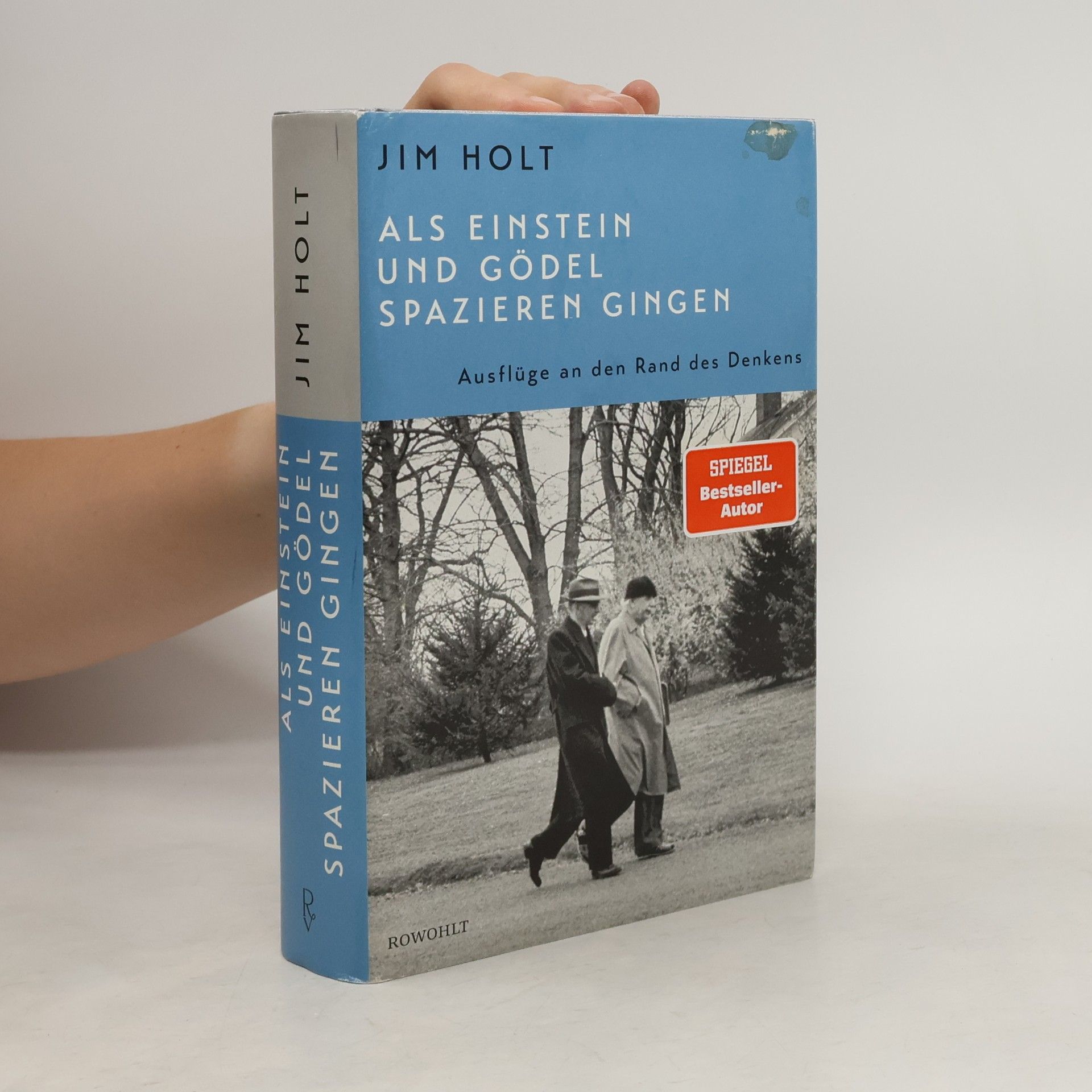 Jim Holt Als Einstein und Gödel spazieren gingen