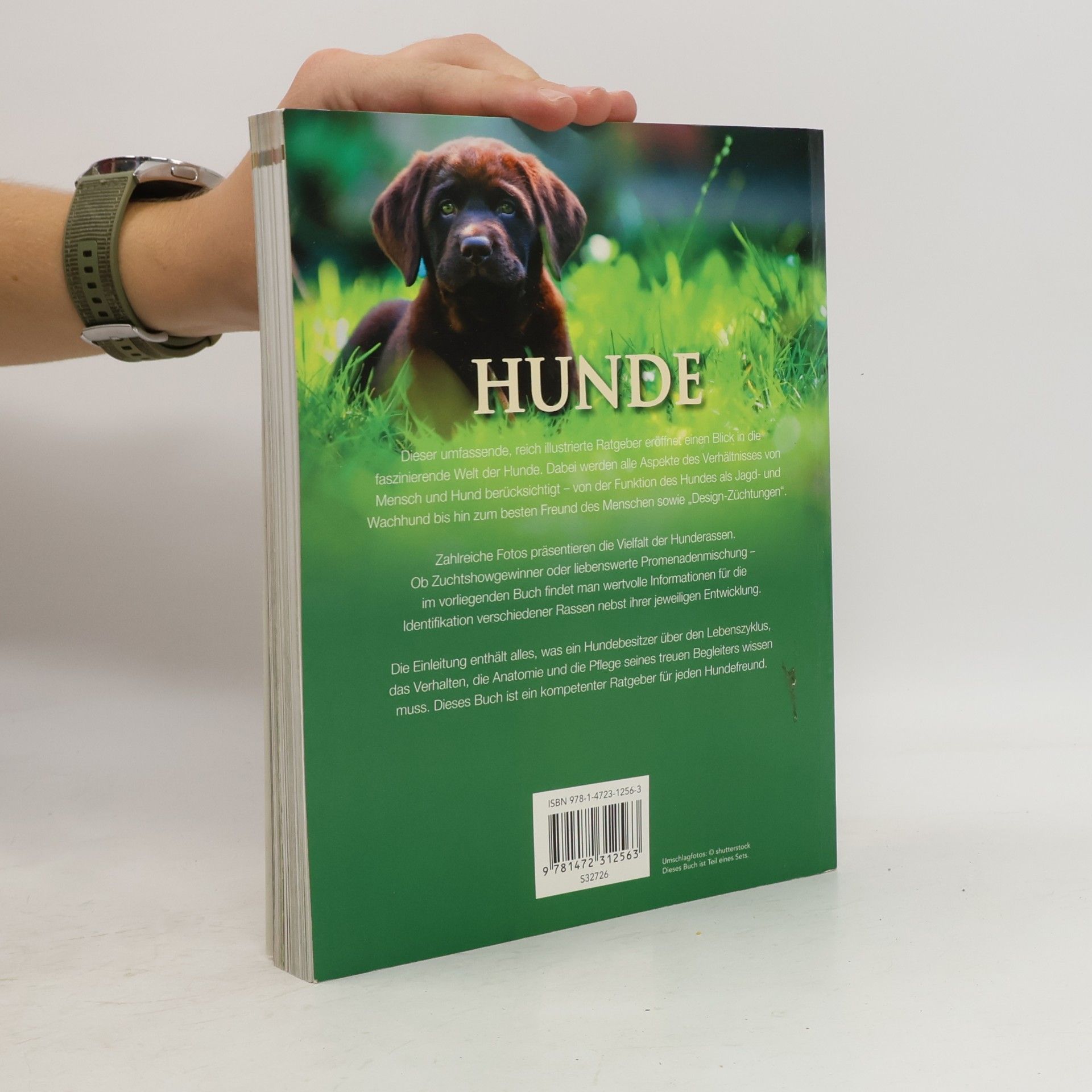 David Alderton Hunde