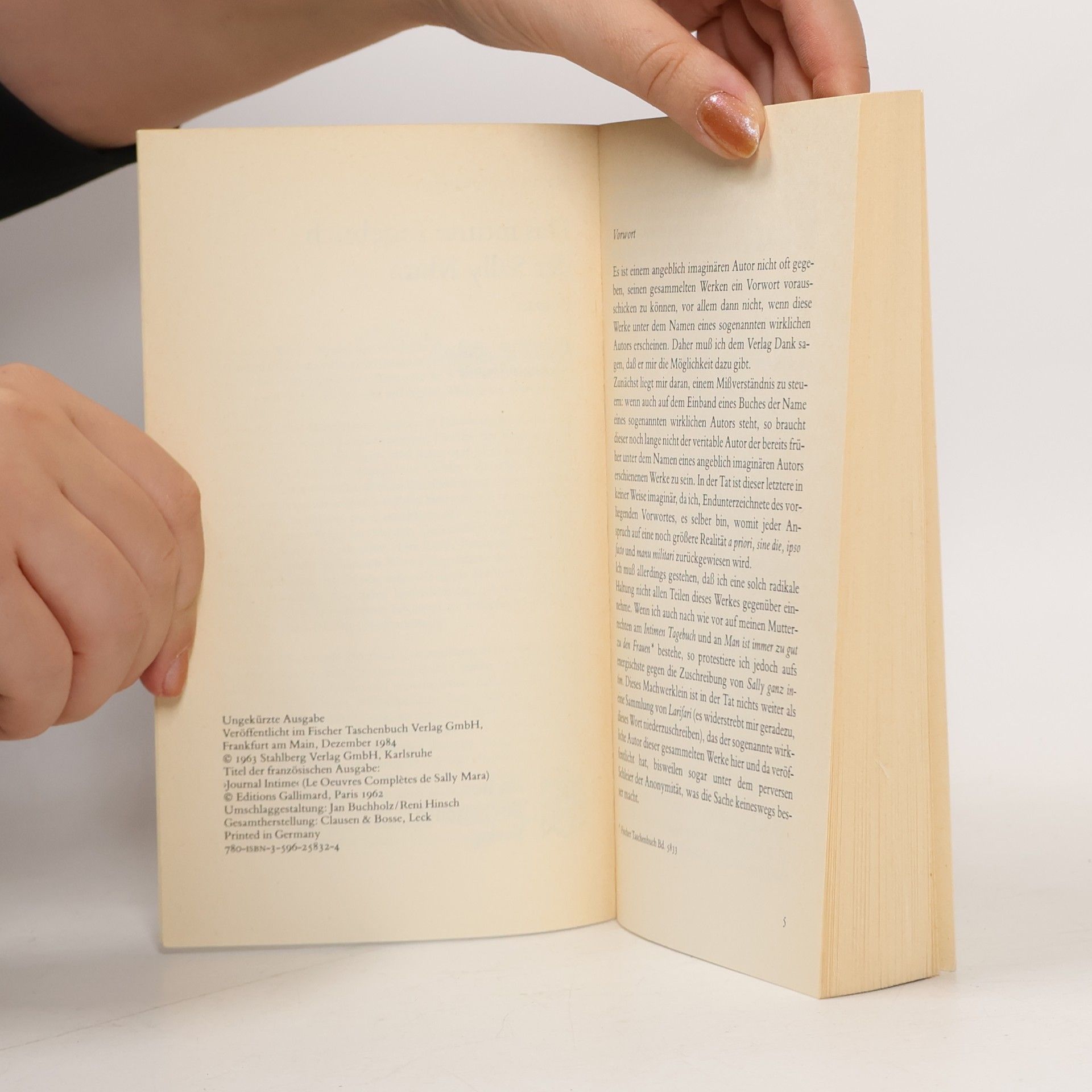 Raymond Queneau Das intime Tagebuch der Sally Mara. Roman