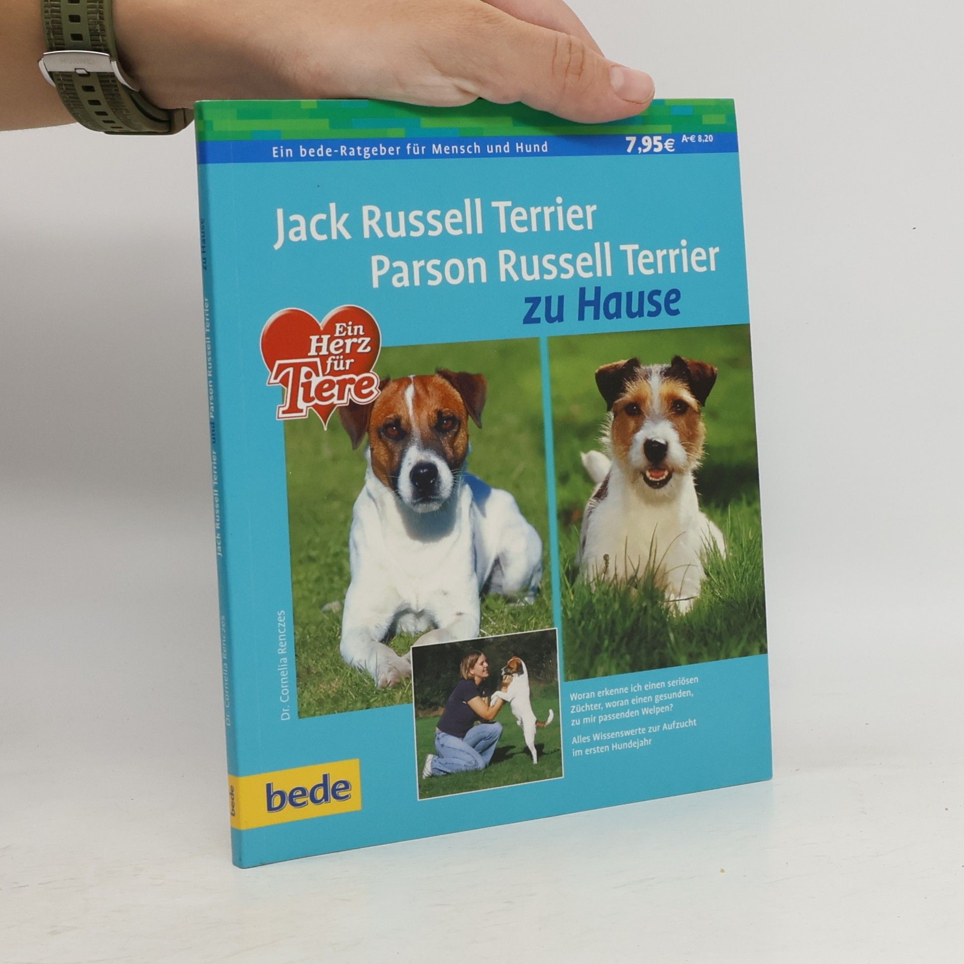 Cornelia Renczes Jack Russell Terrier, Parson Russell Terrier zu Hause