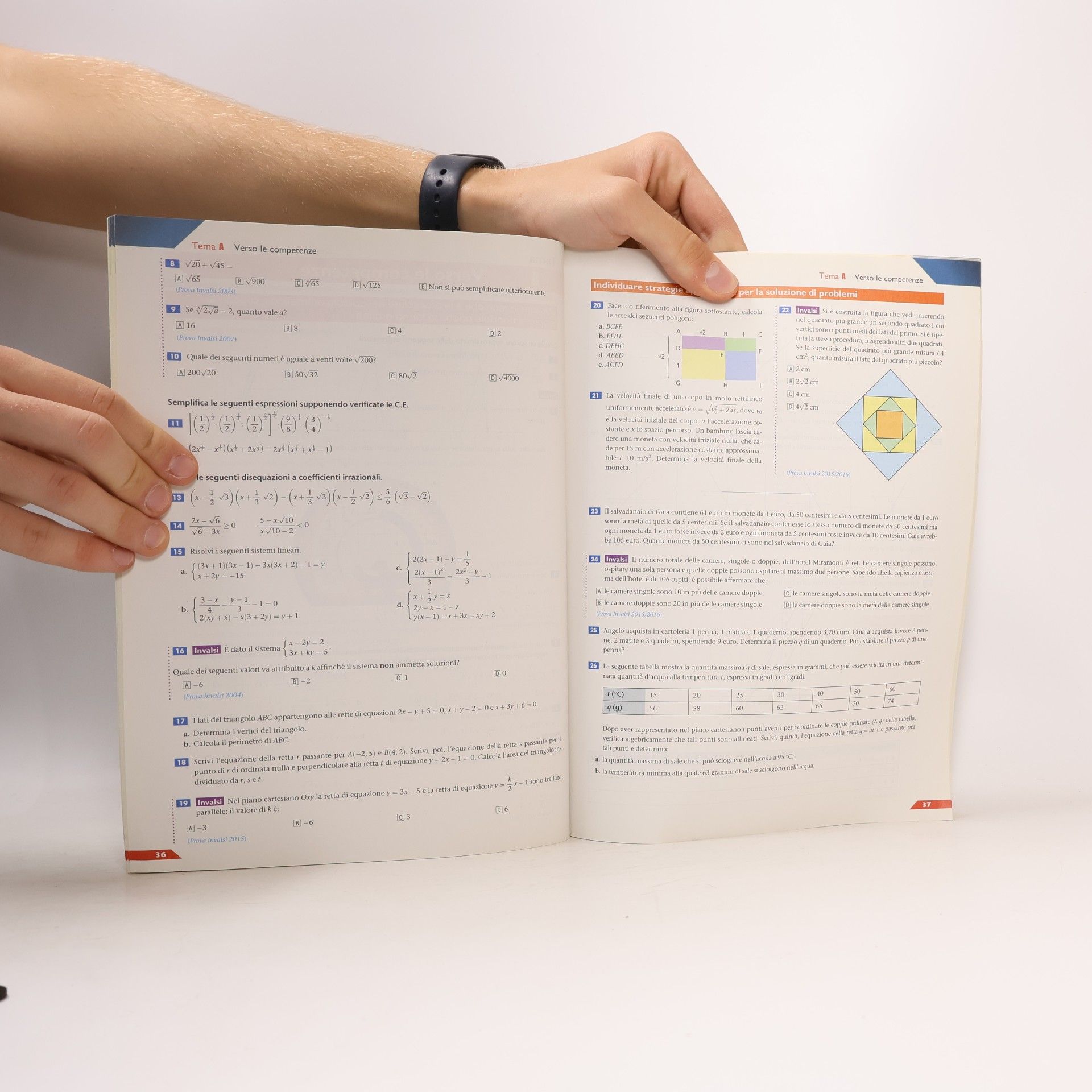 Leonardo Sasso Edizione Verde - 2: Colori della Matematica