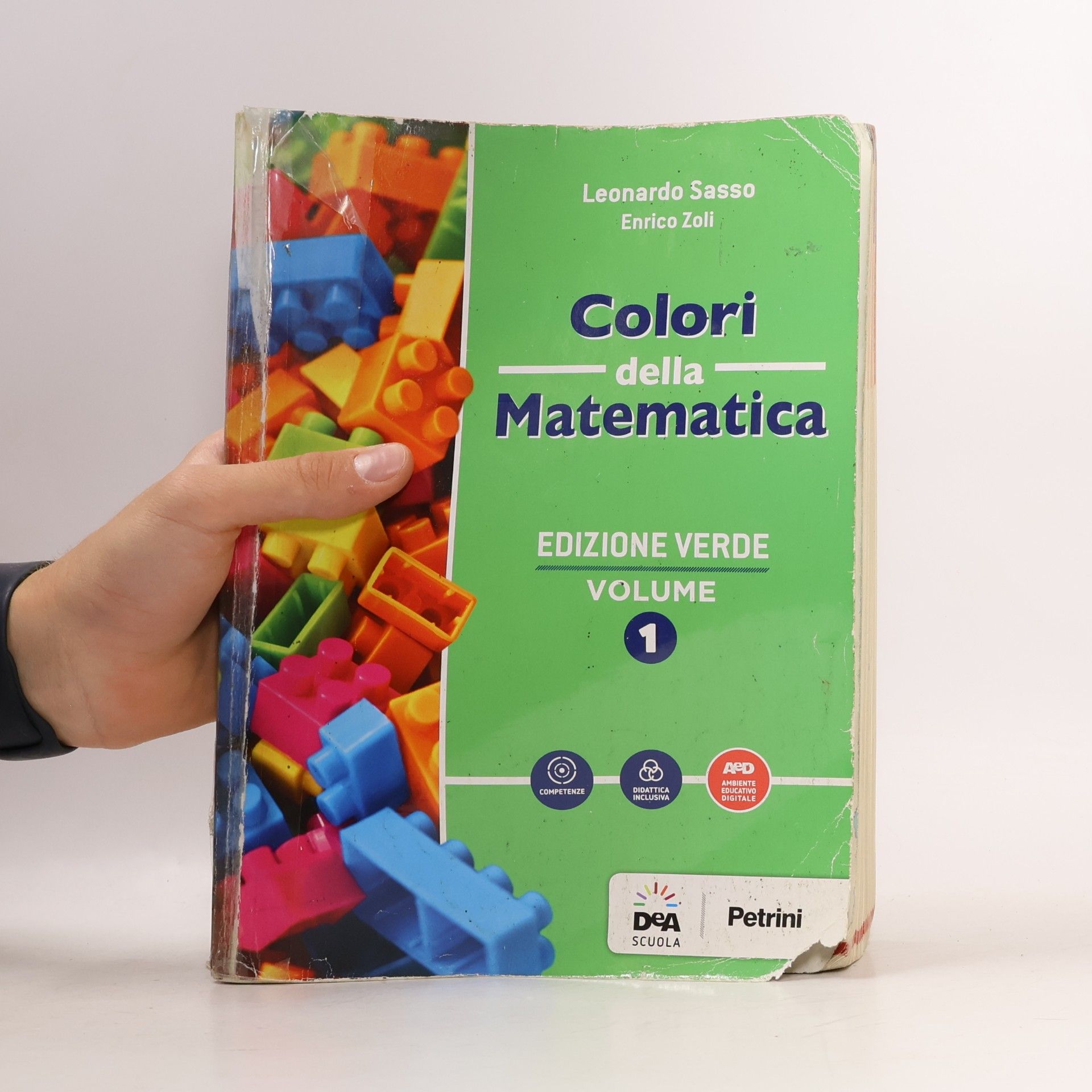 Leonardo Sasso Colori della Matematica 1