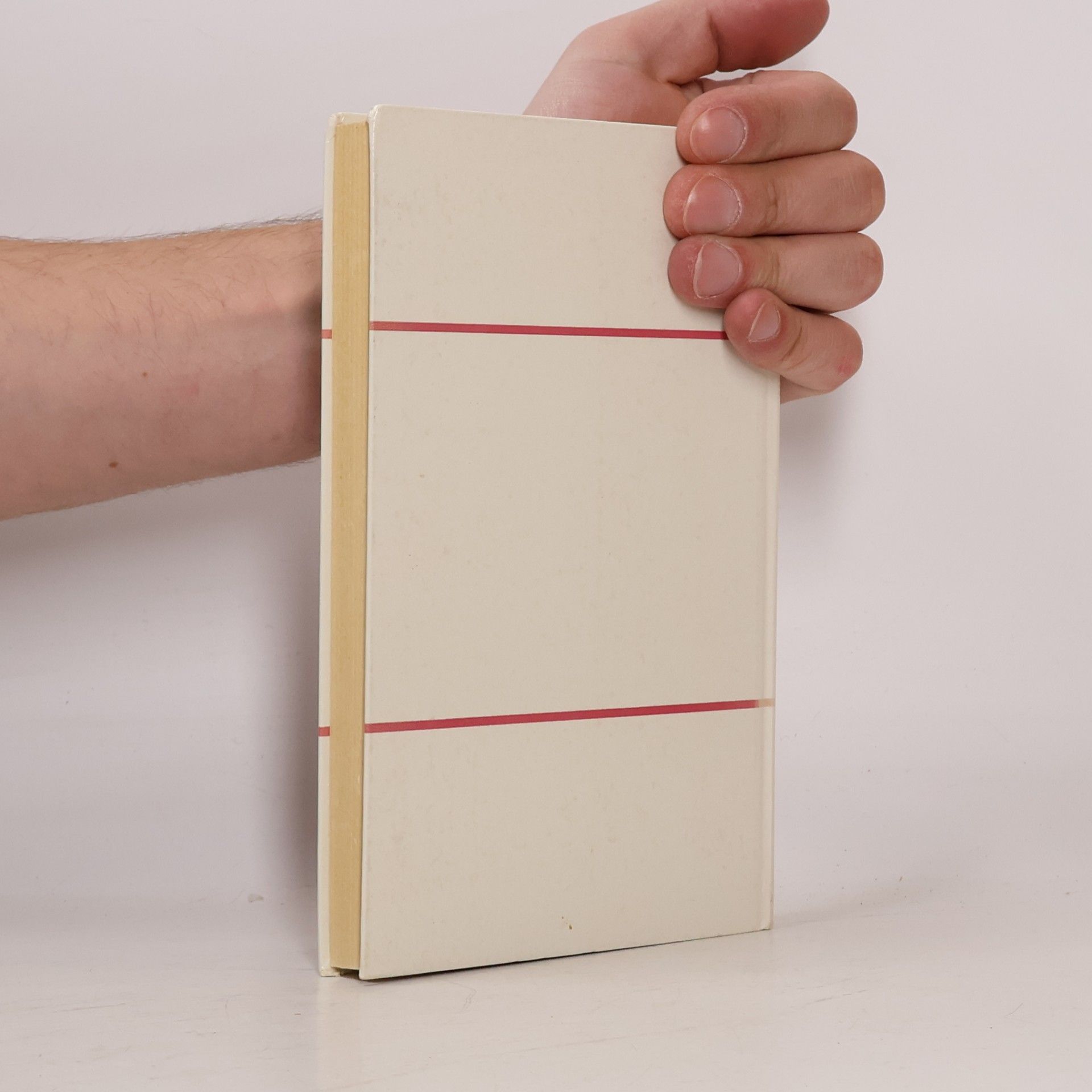 Walter Wiese Biblisches Wörterbuch