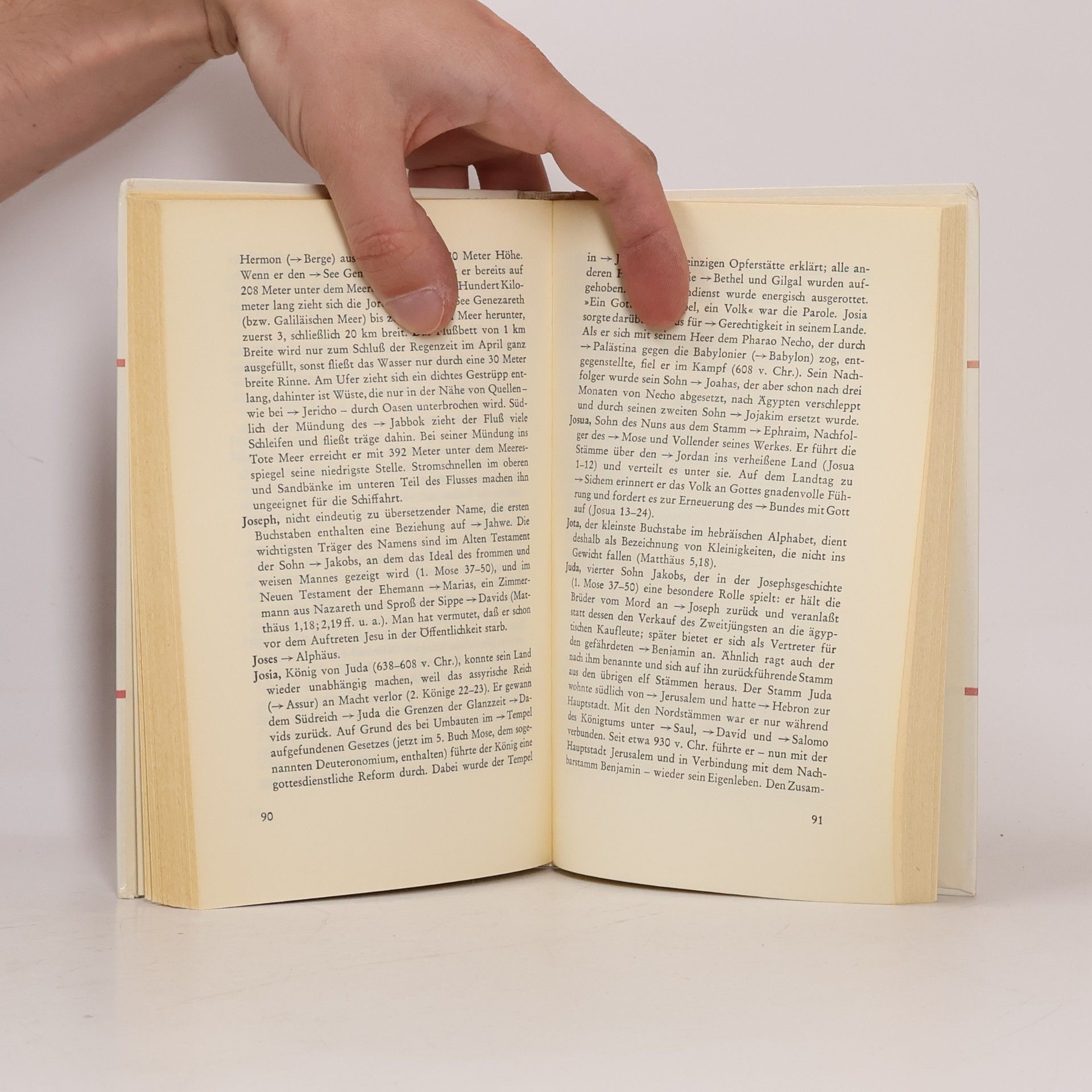 Walter Wiese Biblisches Wörterbuch