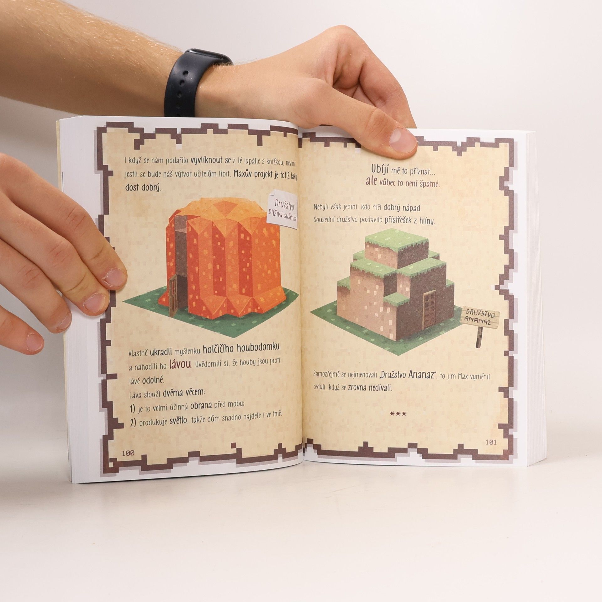 Barbora Antonová Deník malého Minecrafťáka
