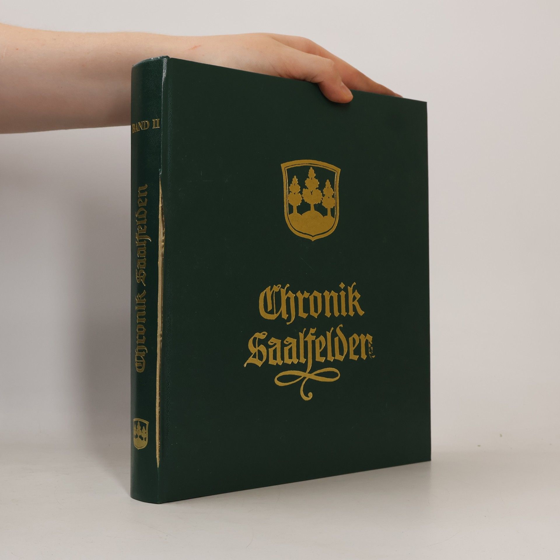 kolektiv Chronik Saalfelden II.