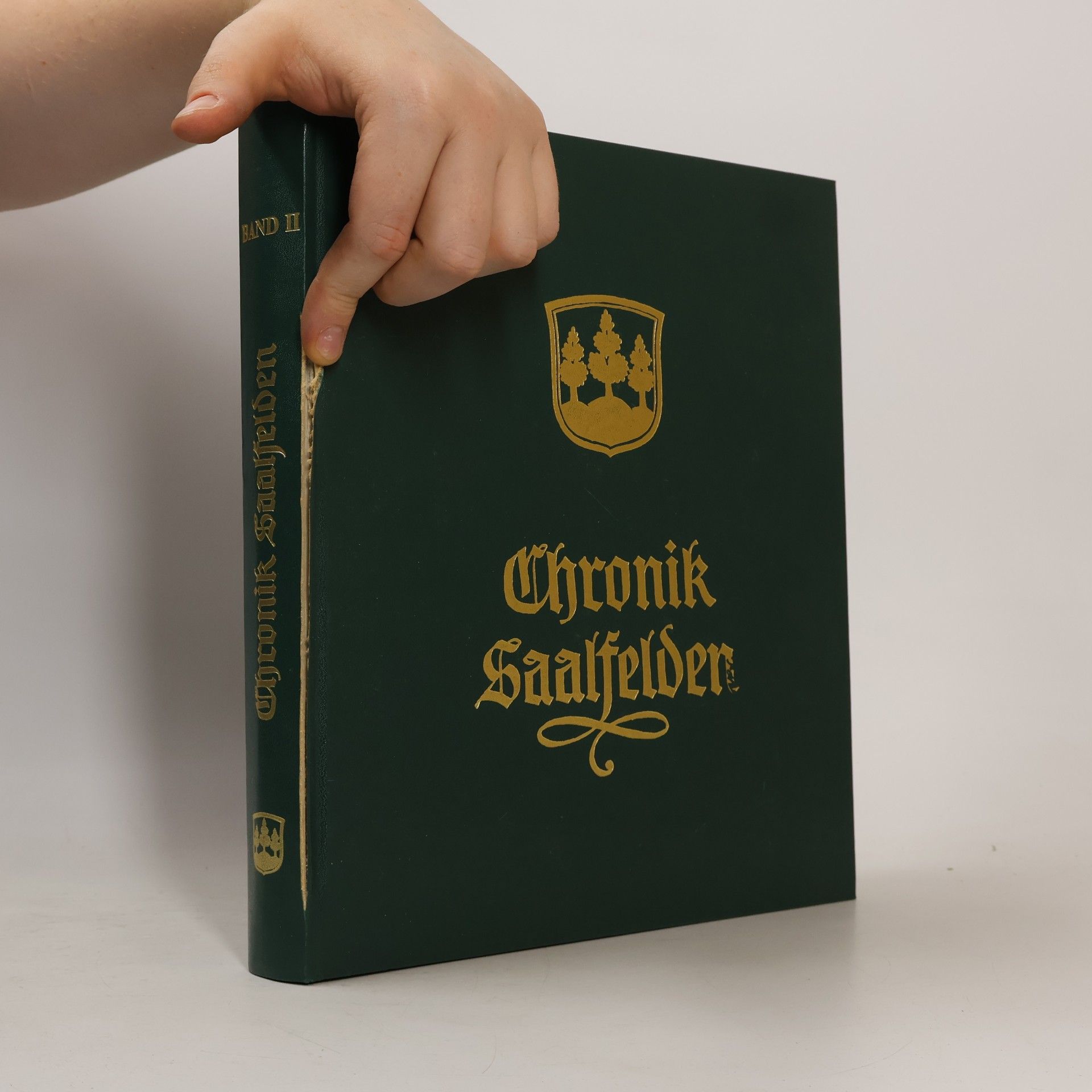 kolektiv Chronik Saalfelden II.