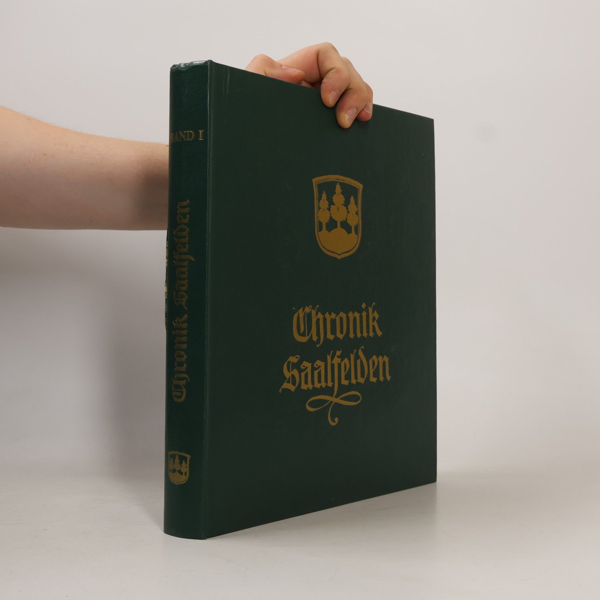 kolektiv Chronik Saalfelden 1